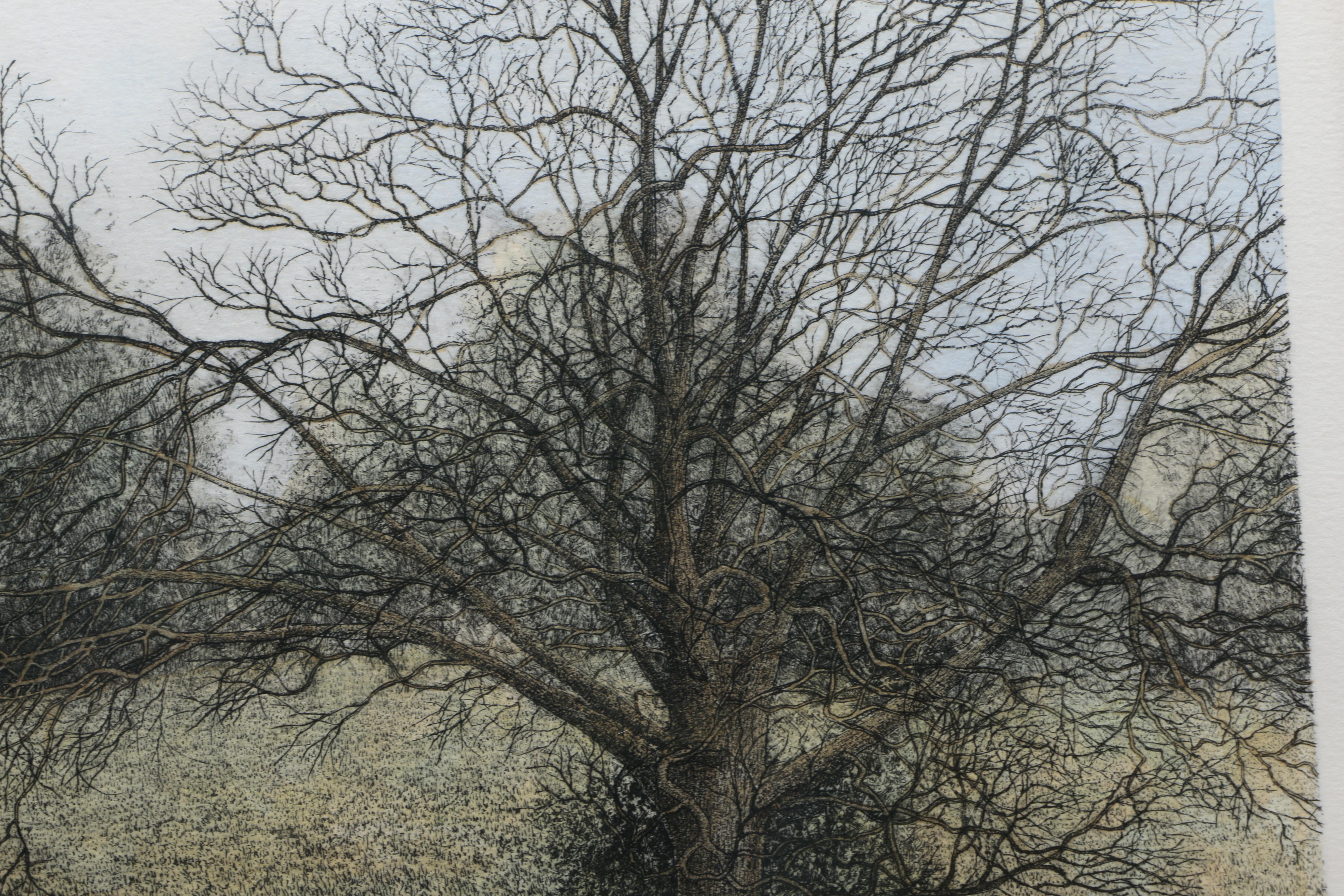 William T. Livesay Limited Edition Aquatint Etching "Sunlit Tree"