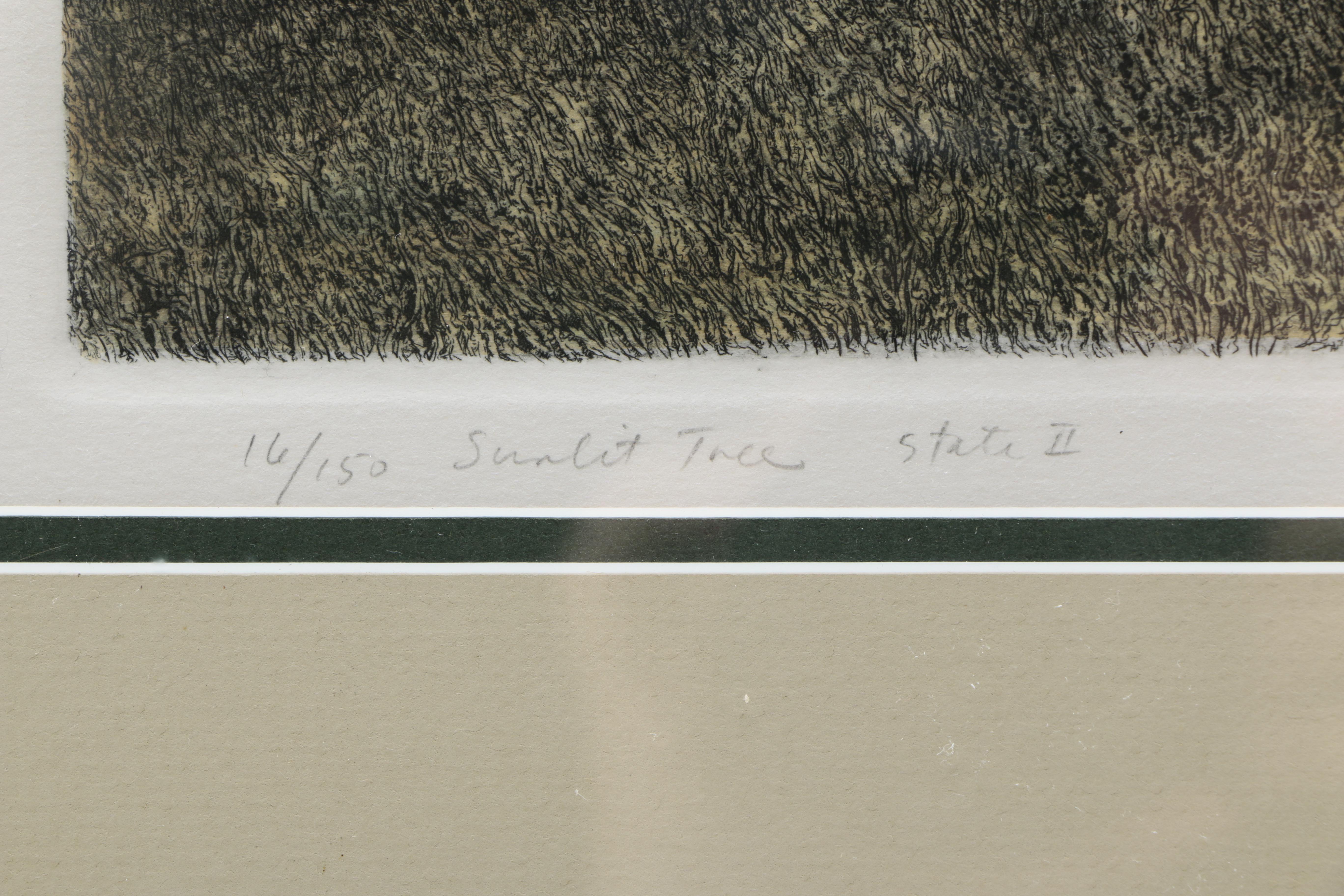 William T. Livesay Limited Edition Aquatint Etching "Sunlit Tree"