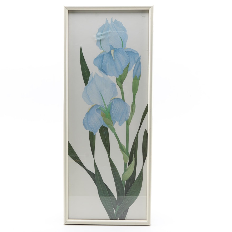 Ed Cota Offset Lithograph Print of Iris Flowers