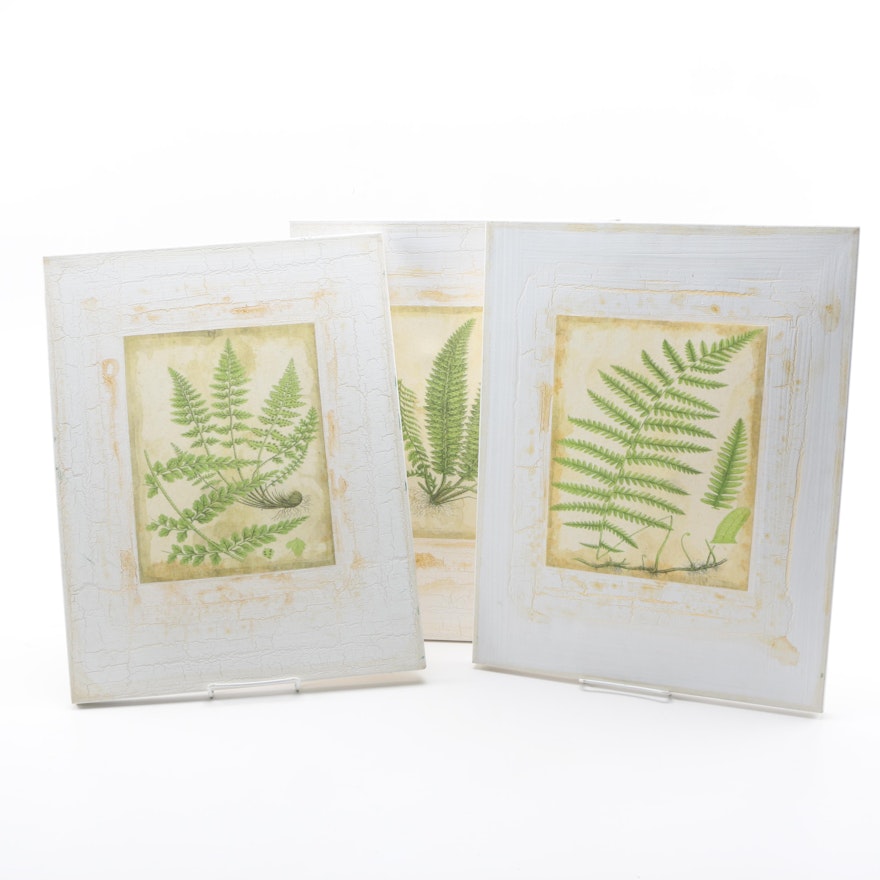 Decorative Vintage Style Giclee Prints on Paper Mounted on Canvas of Fern Fronds