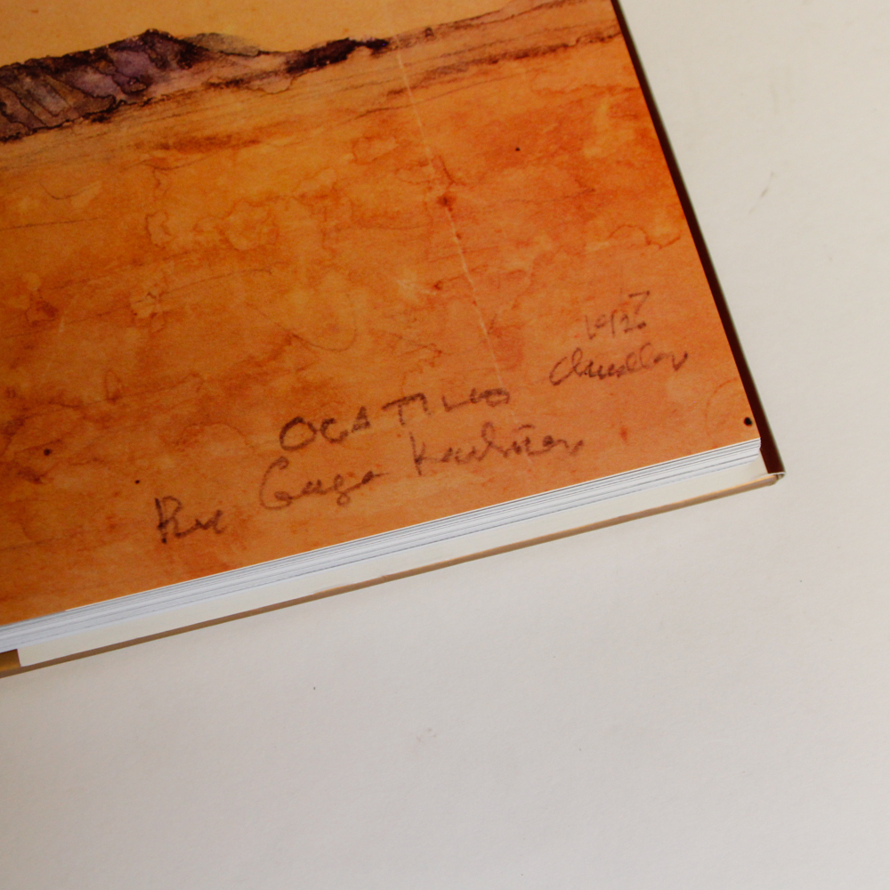 Collection of Frank Lloyd Wright Books