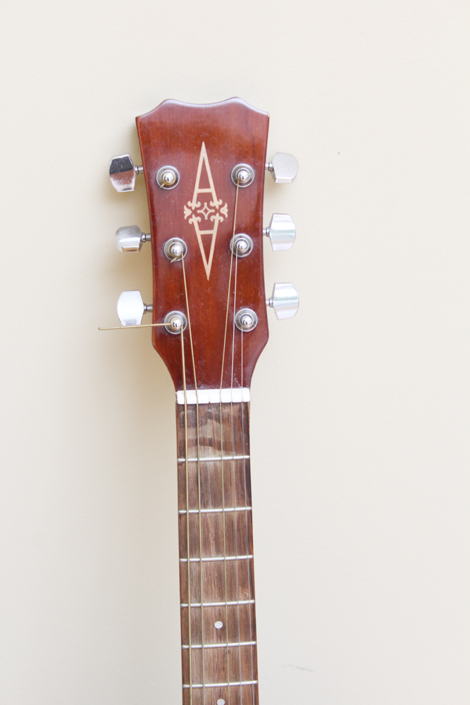 Alvarez Regent Acoustic Guitar
