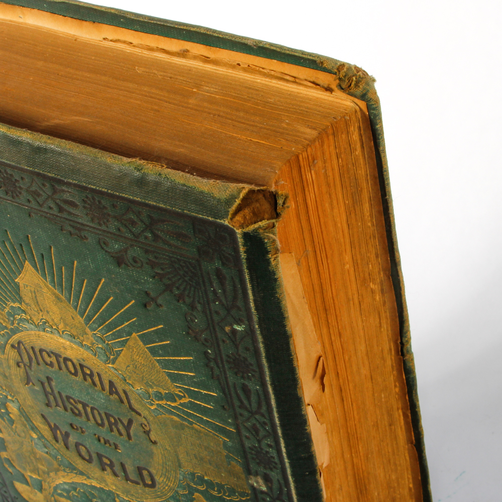 "Pictorial History of the World" by James D. McCabe