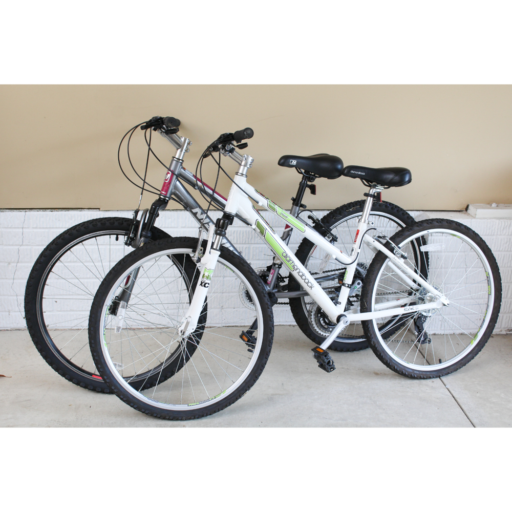 Two Mountain Bicycles by Nishiki and Diamondback