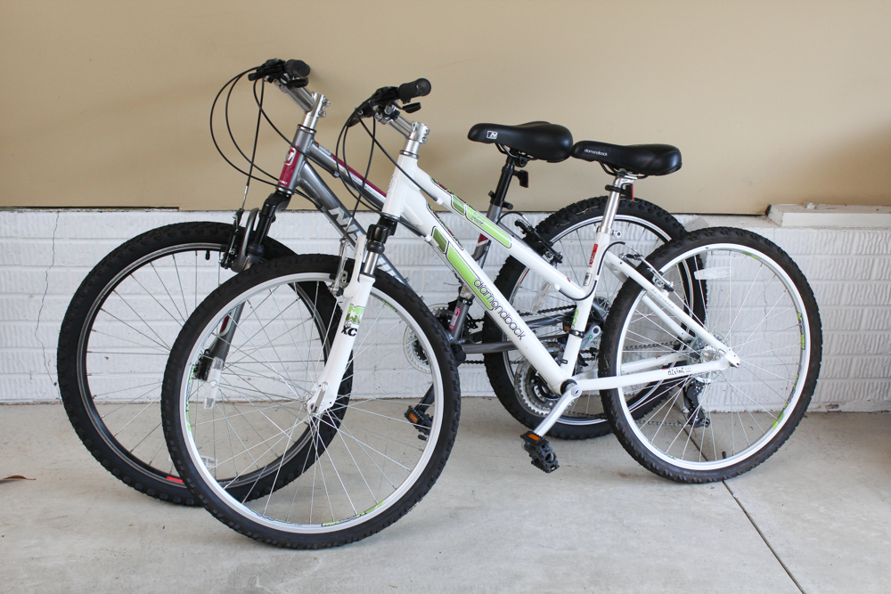 Two Mountain Bicycles by Nishiki and Diamondback