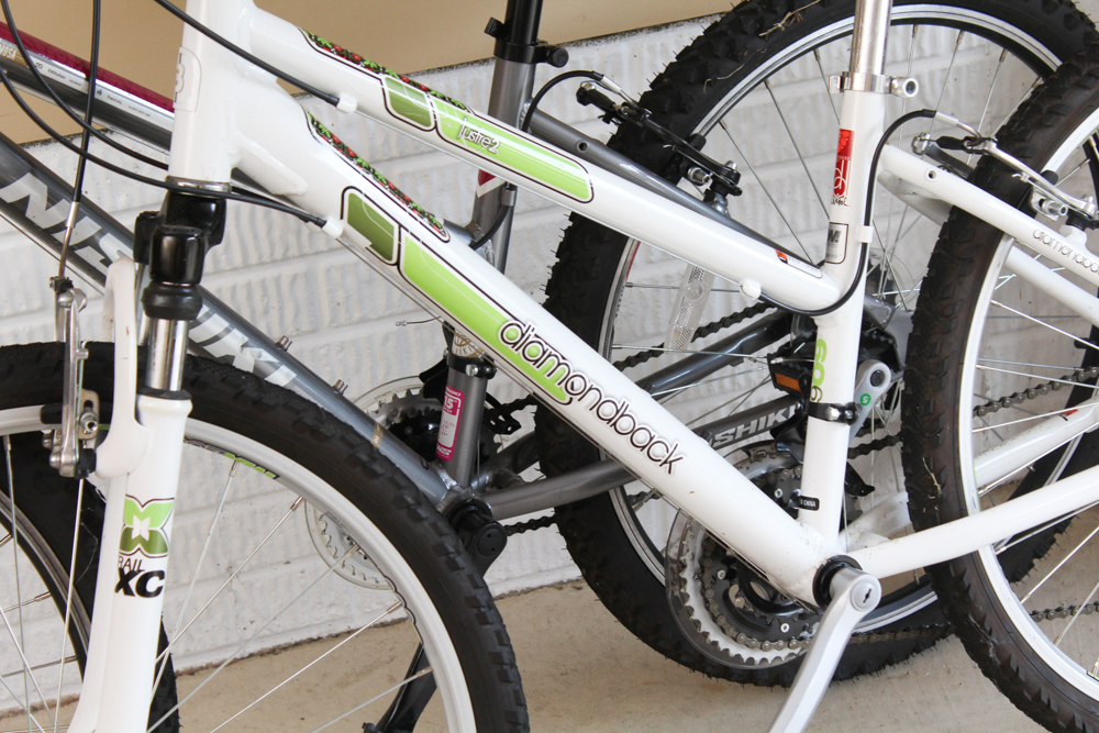 Two Mountain Bicycles by Nishiki and Diamondback