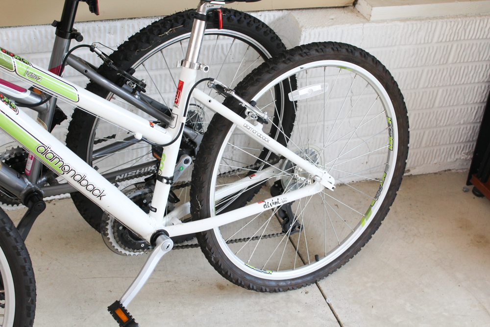 Two Mountain Bicycles by Nishiki and Diamondback