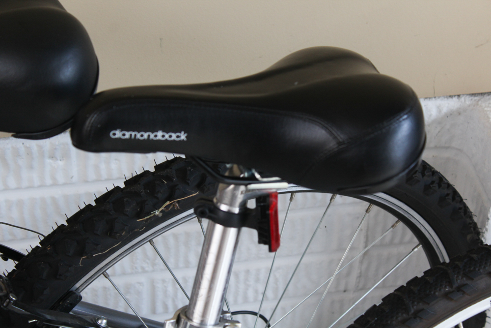 Two Mountain Bicycles by Nishiki and Diamondback