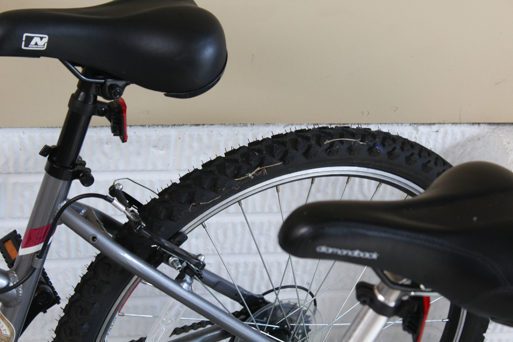 Two Mountain Bicycles by Nishiki and Diamondback