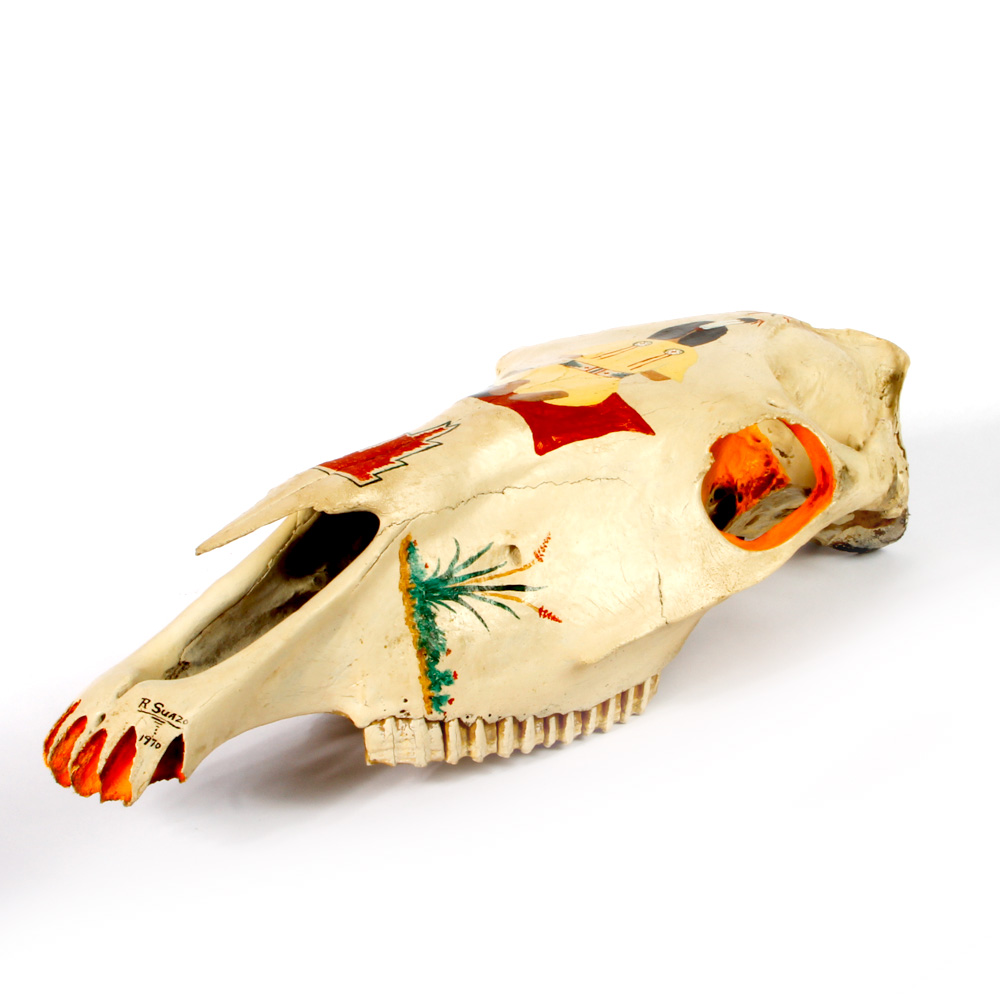 Hand Painted Longhorn Cow Skull