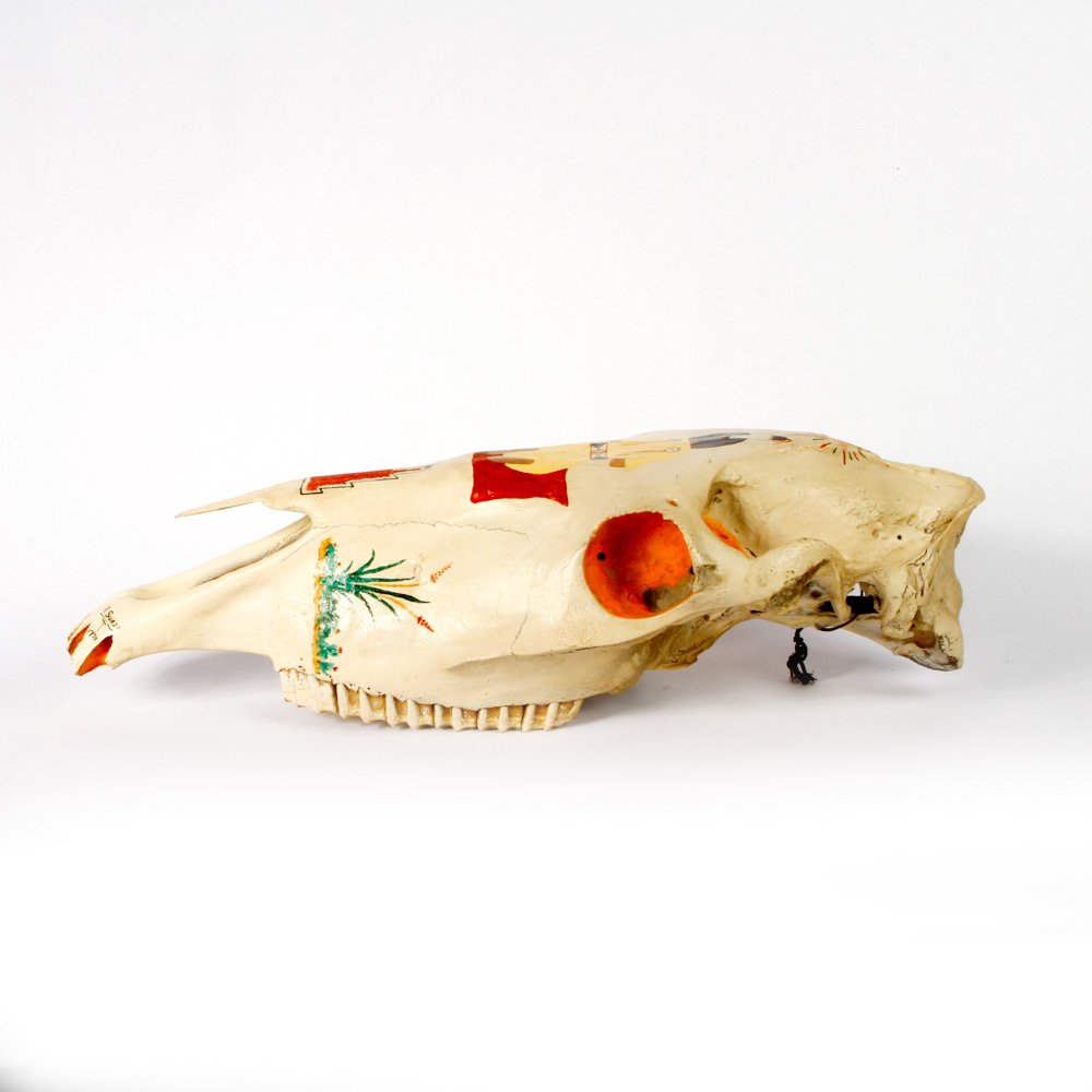 Hand Painted Longhorn Cow Skull