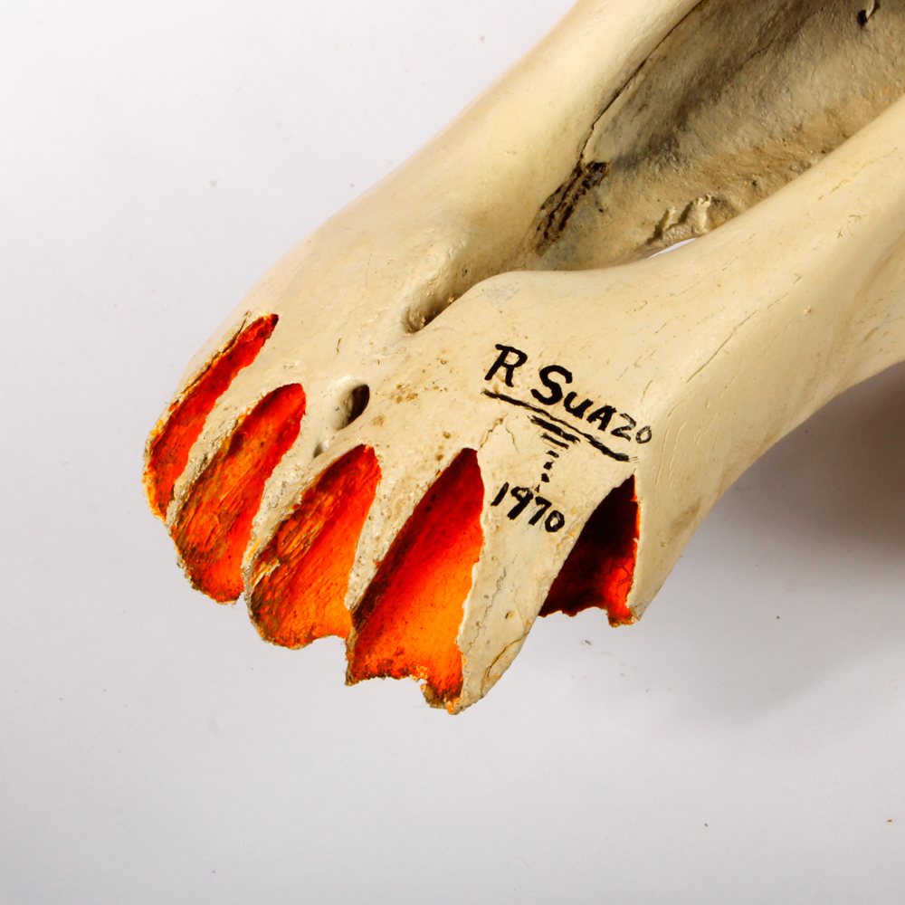 Hand Painted Longhorn Cow Skull