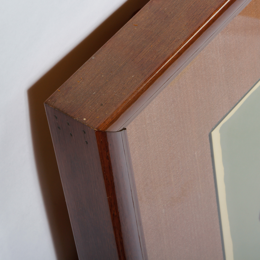 Vintage Framed Bullriding Serigraph