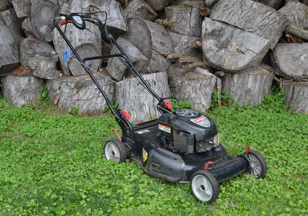 Briggs and stratton online 700 series lawn mower