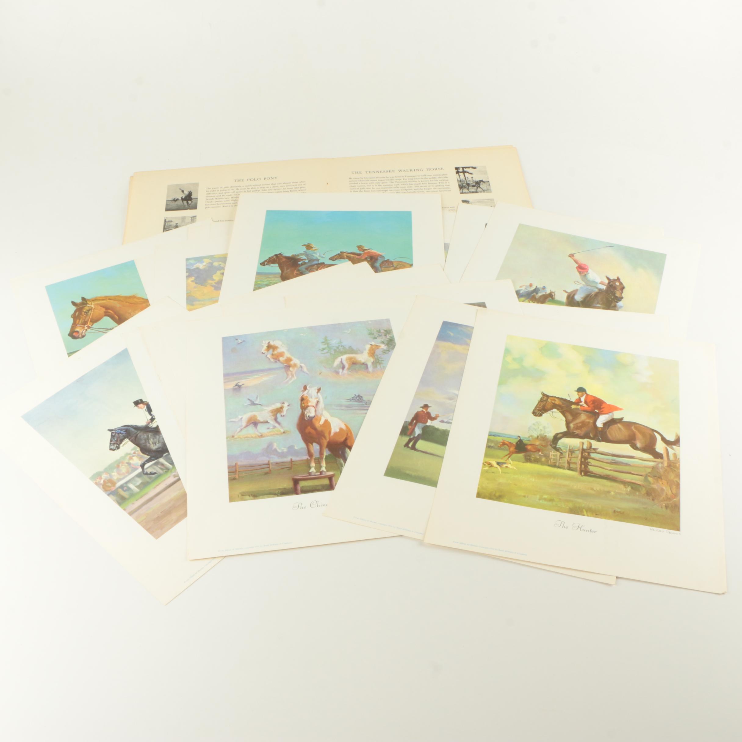 Wesley Dennis Offset Lithographs After "Portfolio of Horses"