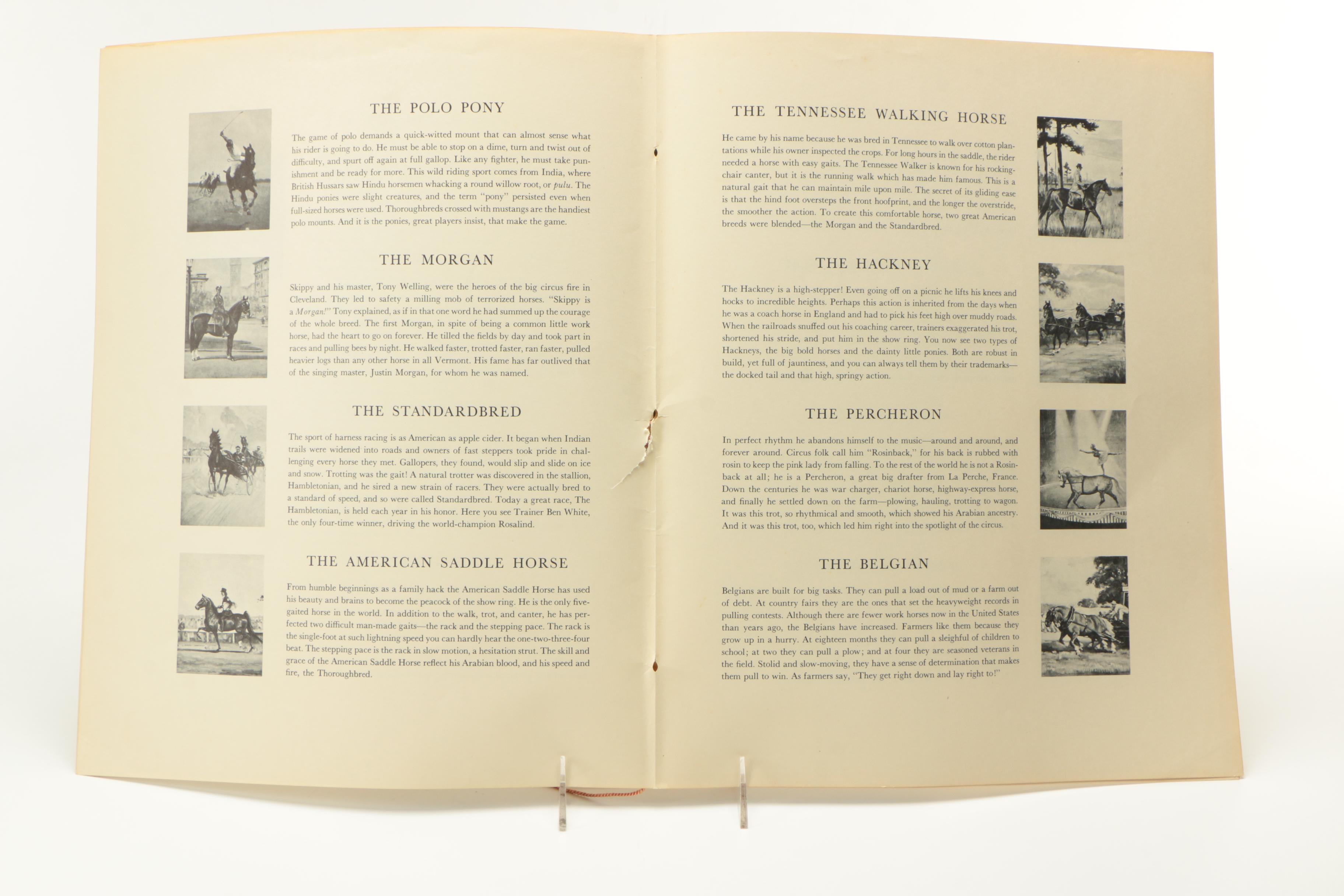 Wesley Dennis Offset Lithographs After "Portfolio of Horses"