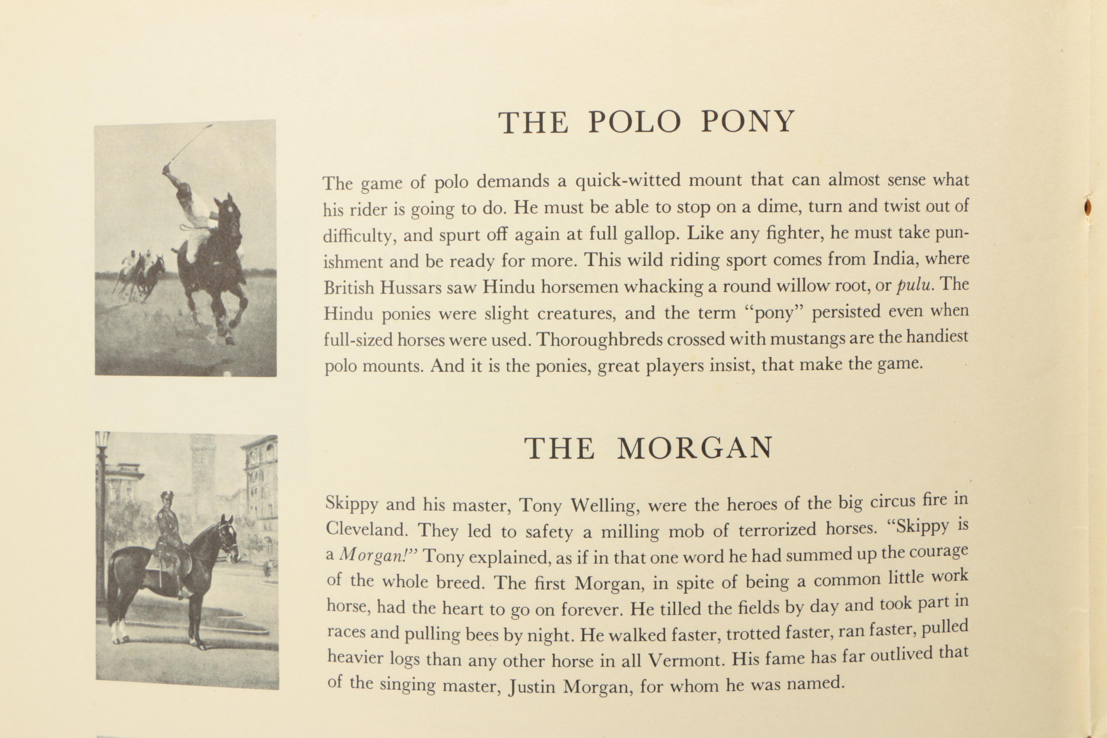 Wesley Dennis Offset Lithographs After "Portfolio of Horses"