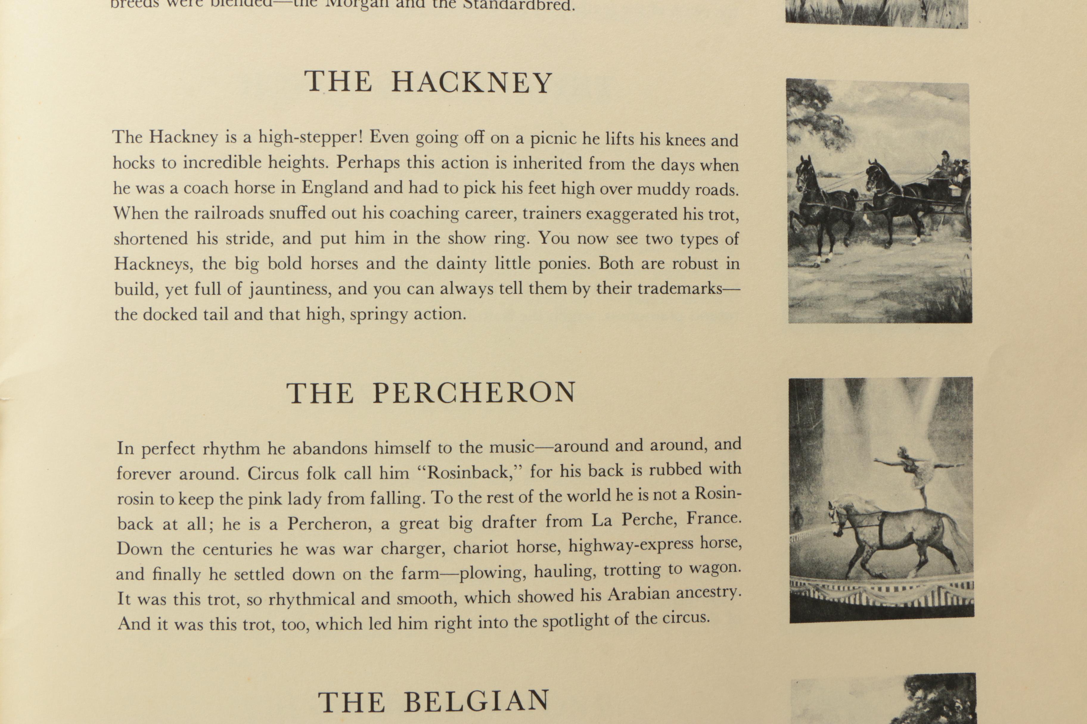 Wesley Dennis Offset Lithographs After "Portfolio of Horses"