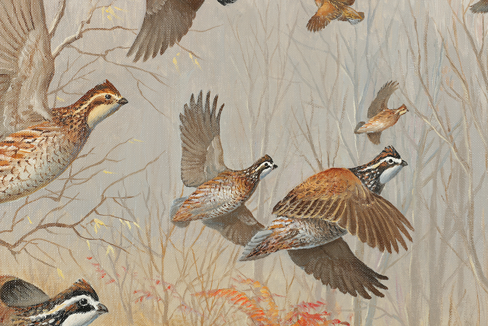 Maynard Reece Oil Painting on Canvas "Bobwhite Quail"