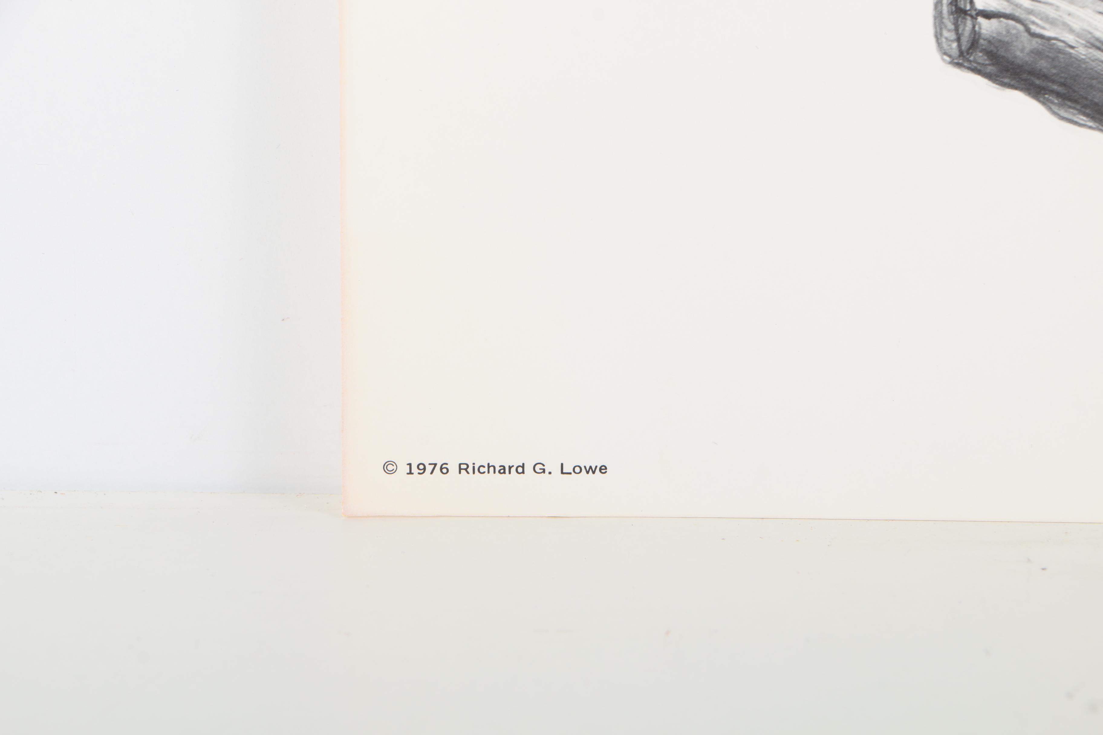 Offset Lithographs After Richard G Lowe's Drawings of Animals