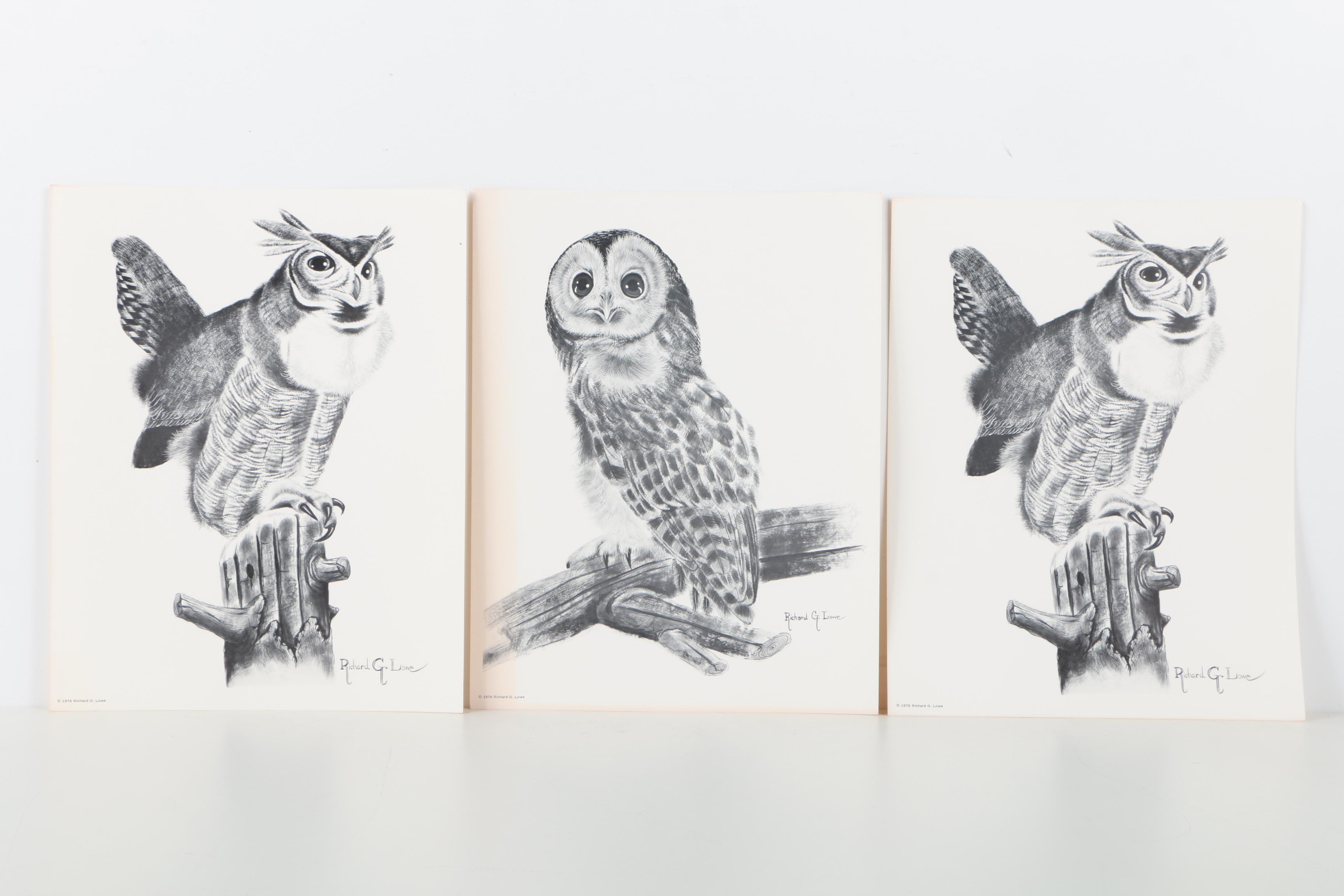 Offset Lithographs After Richard G Lowe's Drawings of Animals