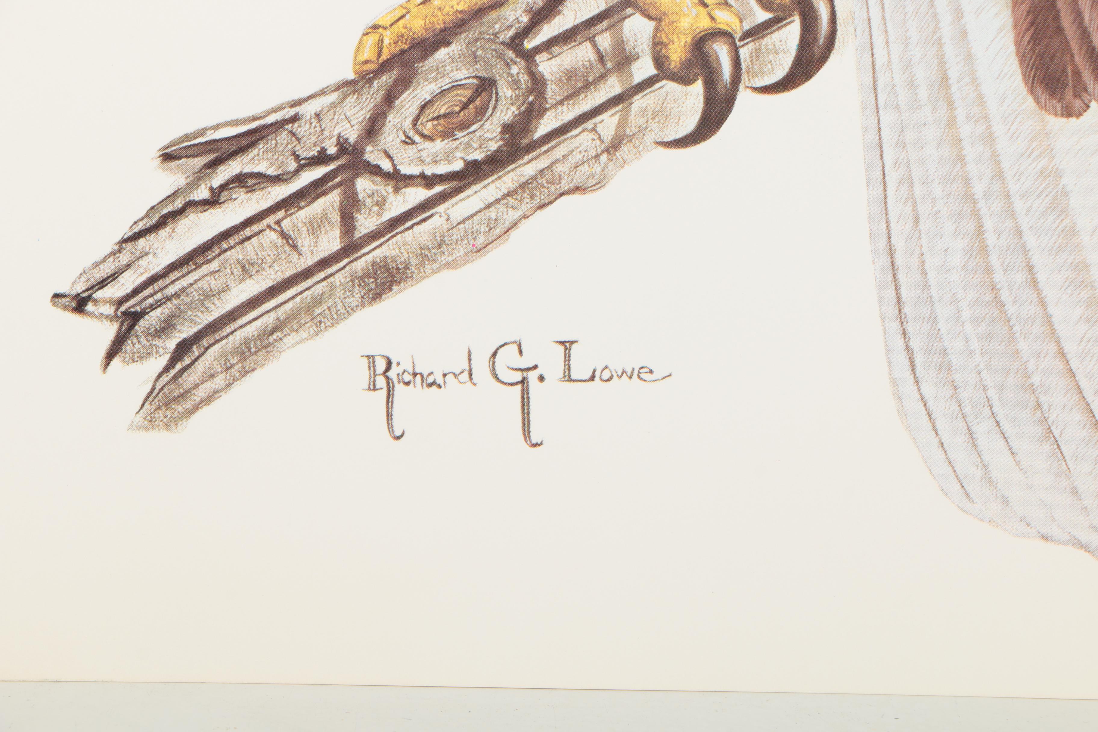 Offset Lithographs After Richard G Lowe's Drawings of Animals