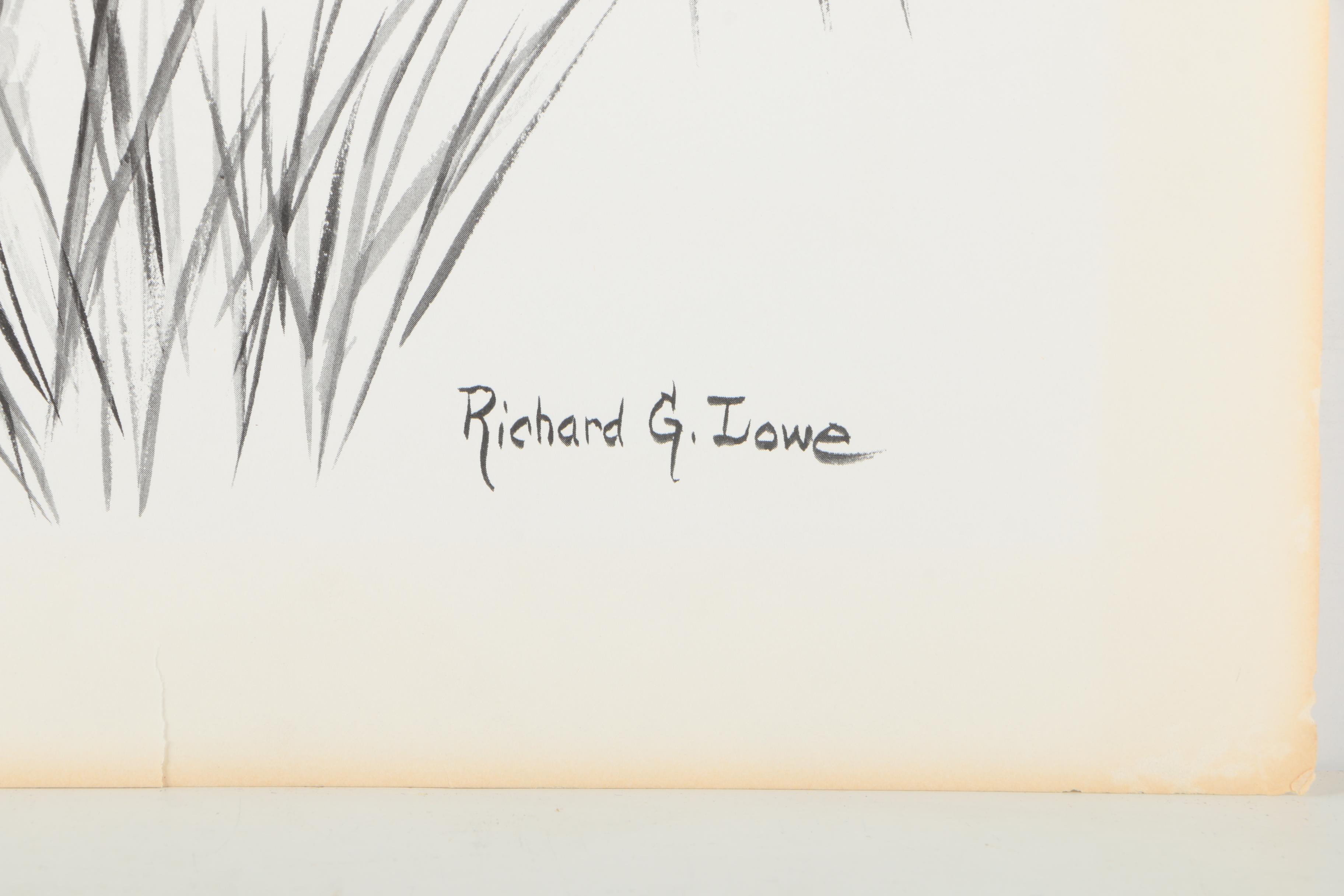 Offset Lithographs After Richard G Lowe's Drawings of Animals