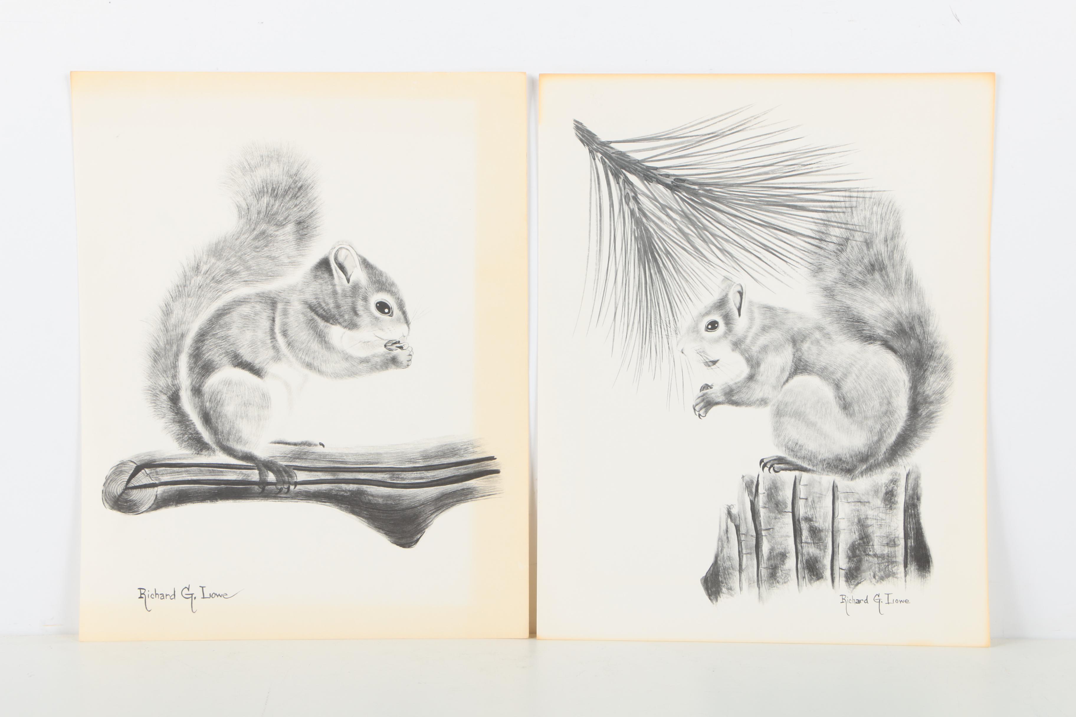 Offset Lithographs After Richard G Lowe's Drawings of Animals