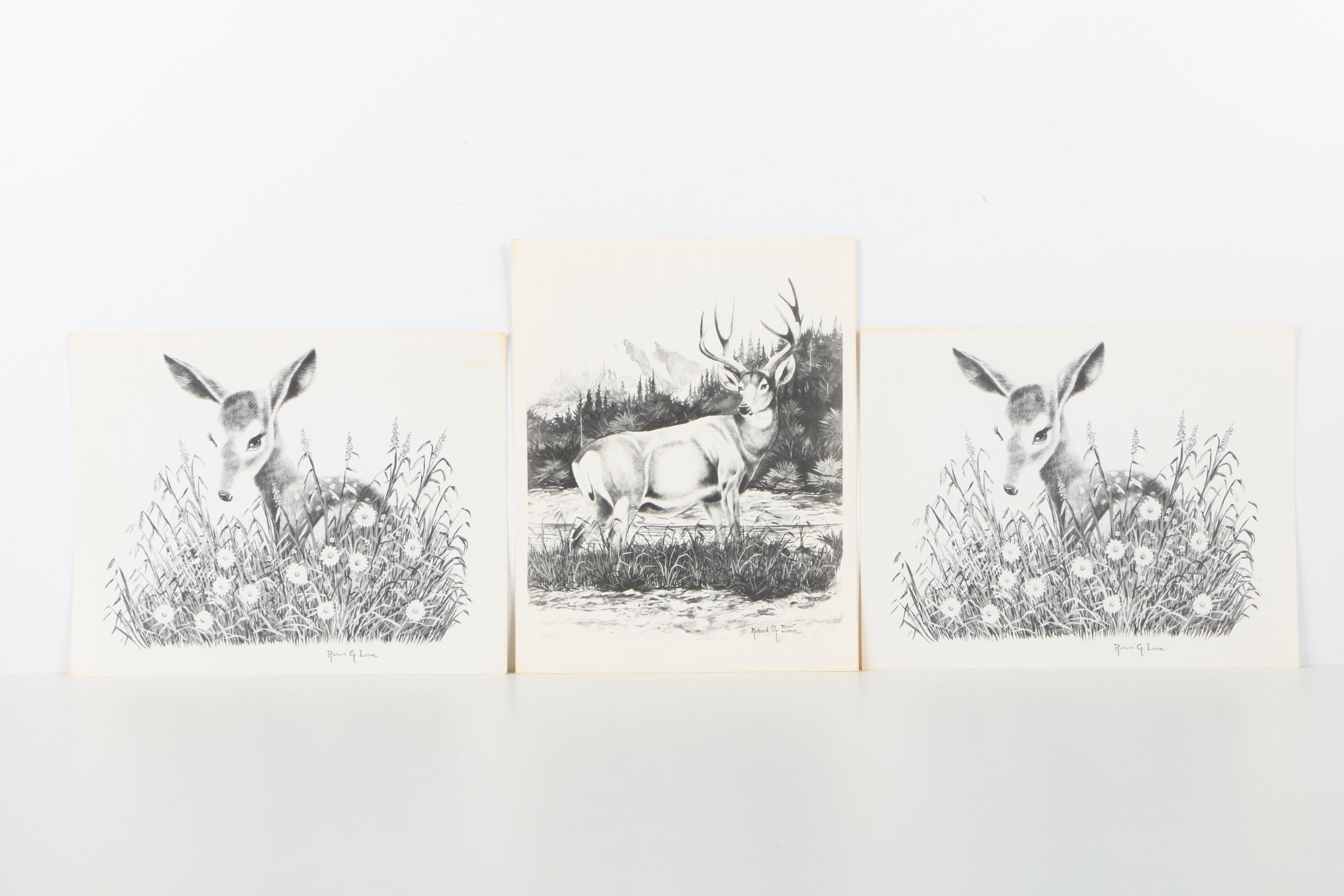 Offset Lithographs After Richard G Lowe's Drawings of Animals