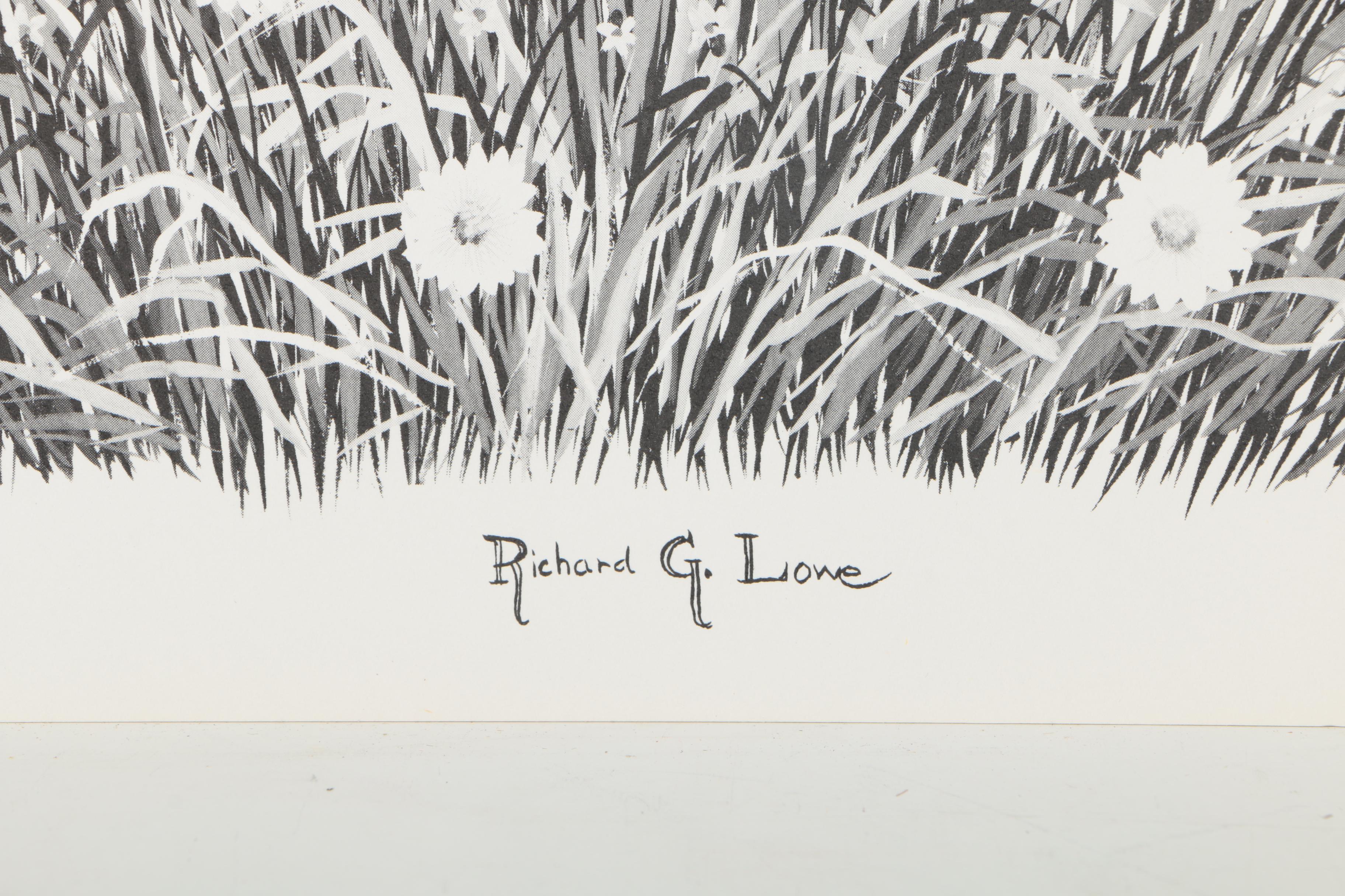 Offset Lithographs After Richard G Lowe's Drawings of Animals