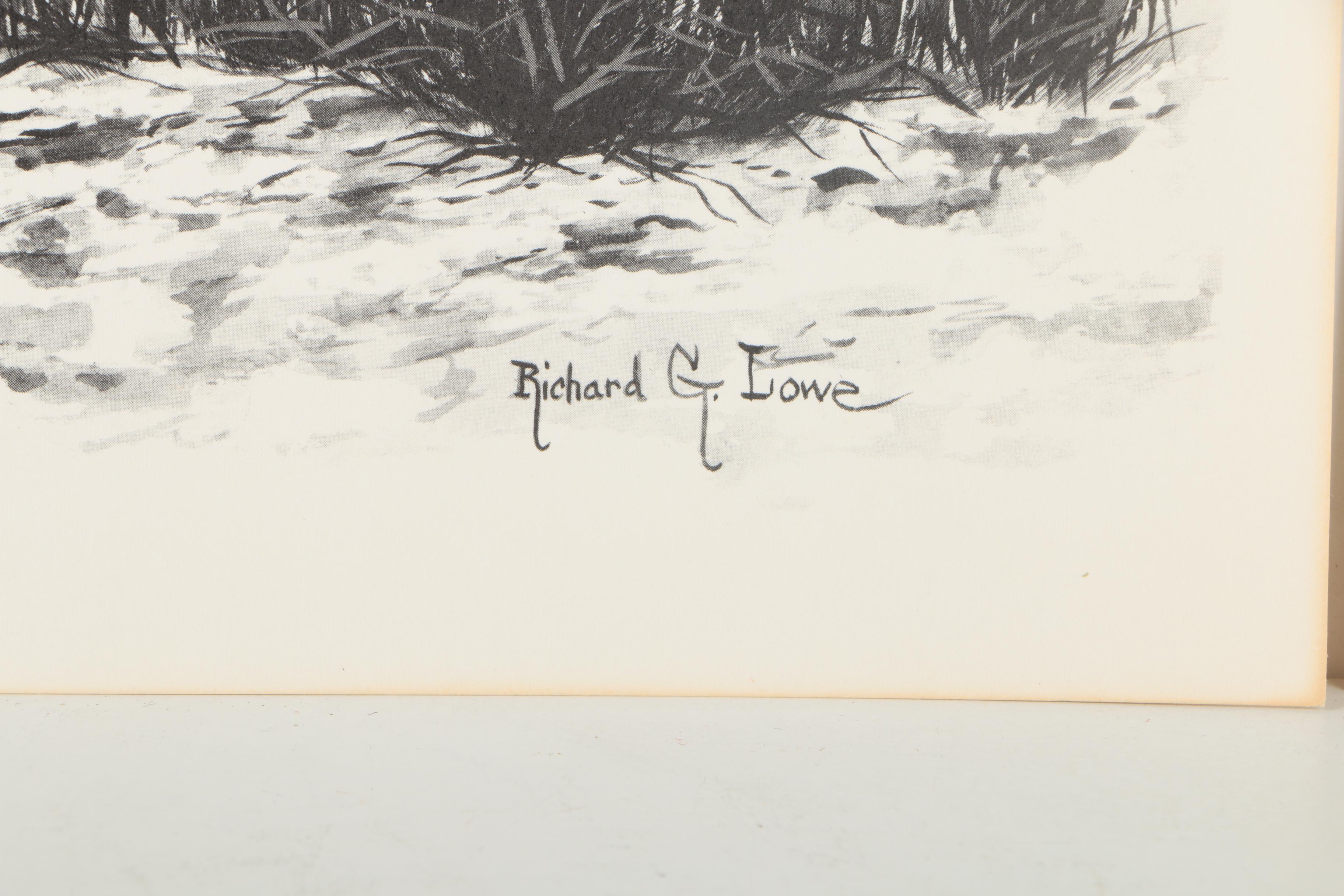Offset Lithographs After Richard G Lowe's Drawings of Animals