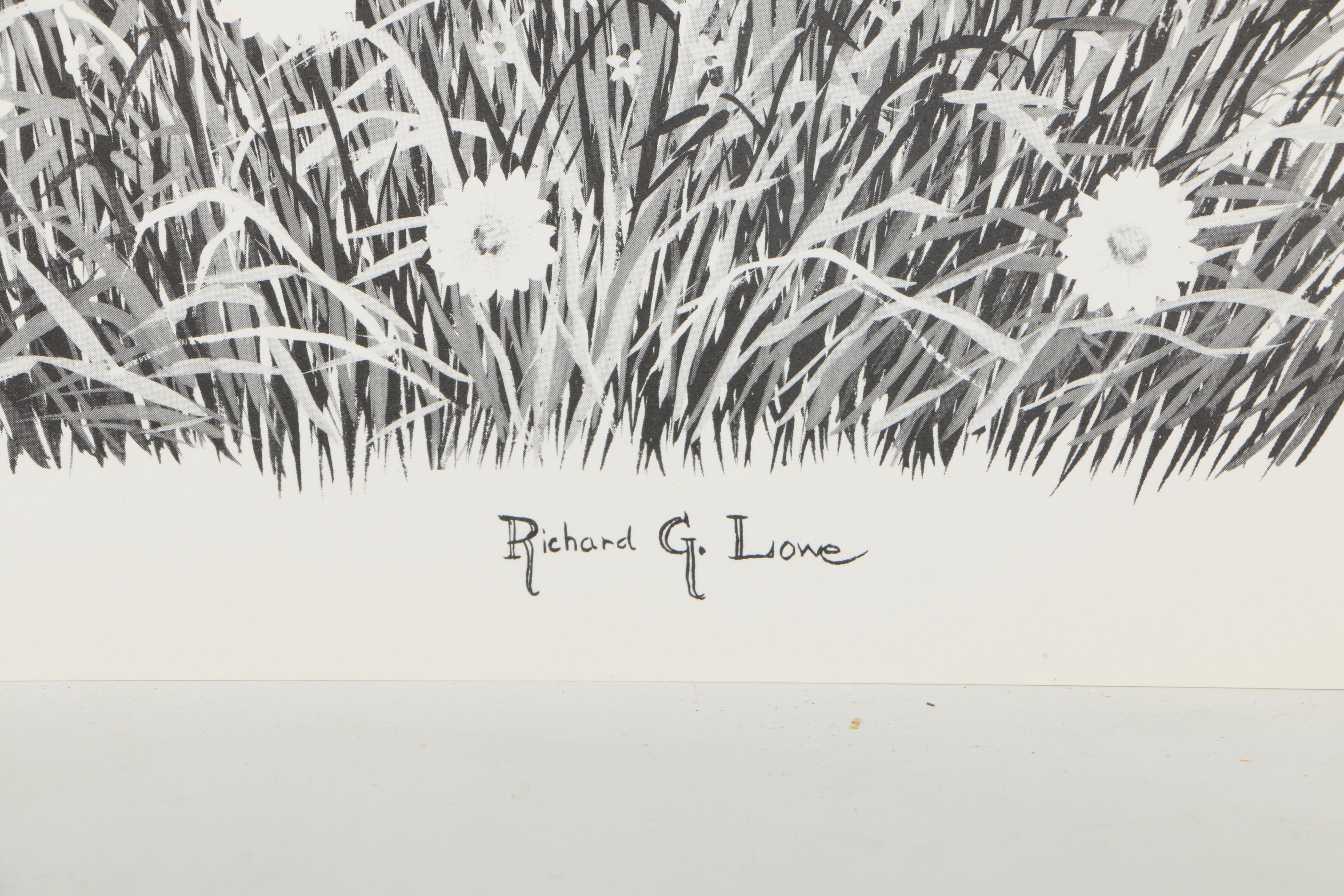 Offset Lithographs After Richard G Lowe's Drawings of Animals