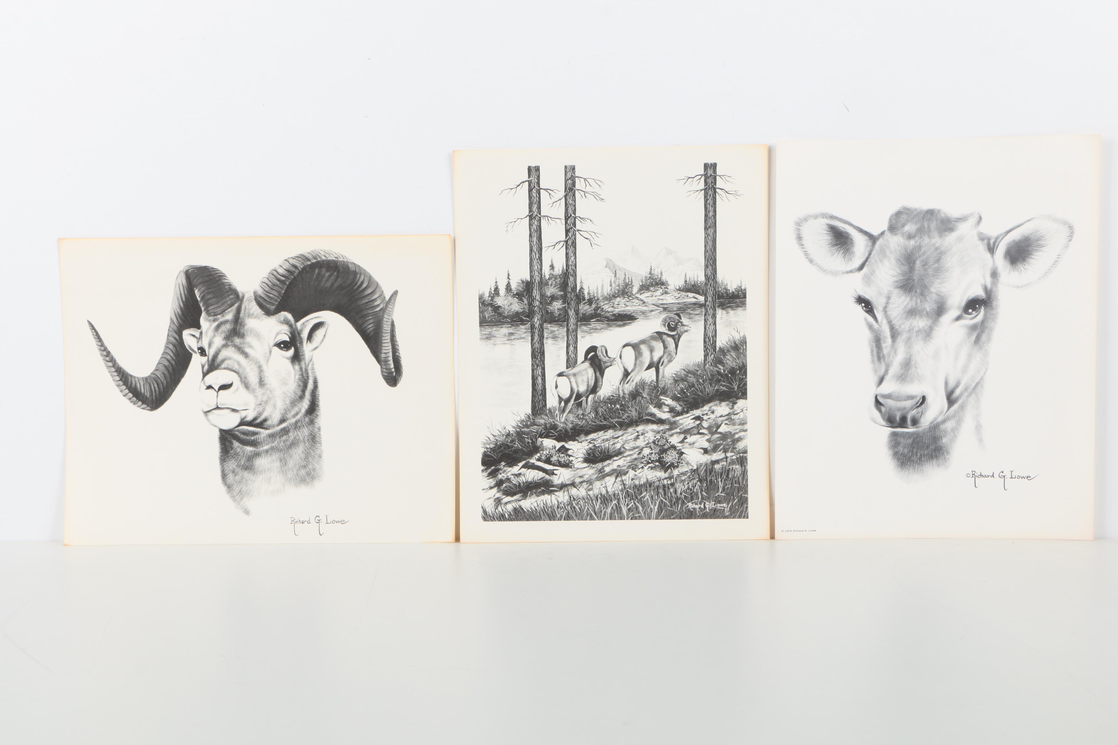 Offset Lithographs After Richard G Lowe's Drawings of Animals