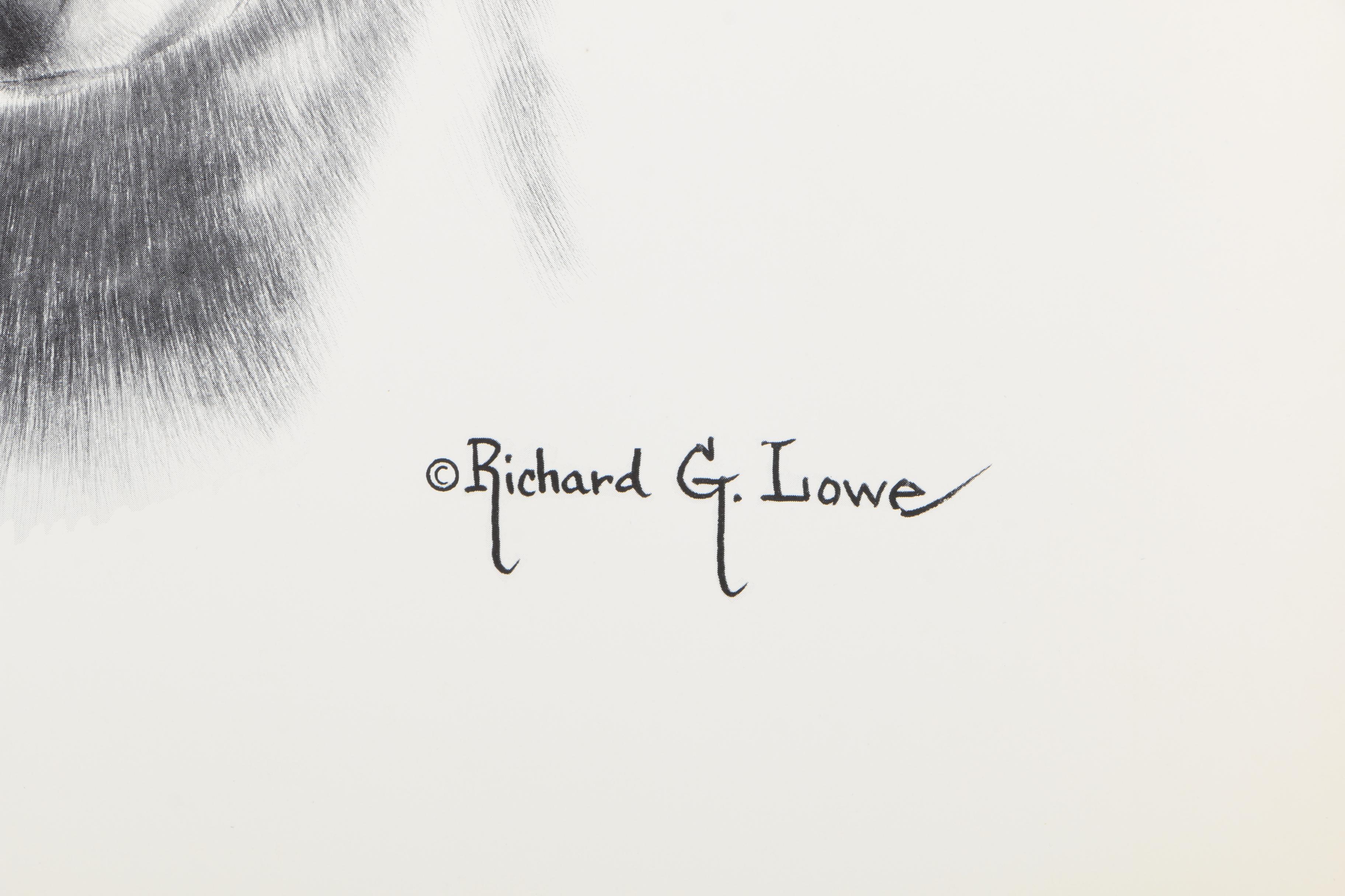 Offset Lithographs After Richard G Lowe's Drawings of Animals