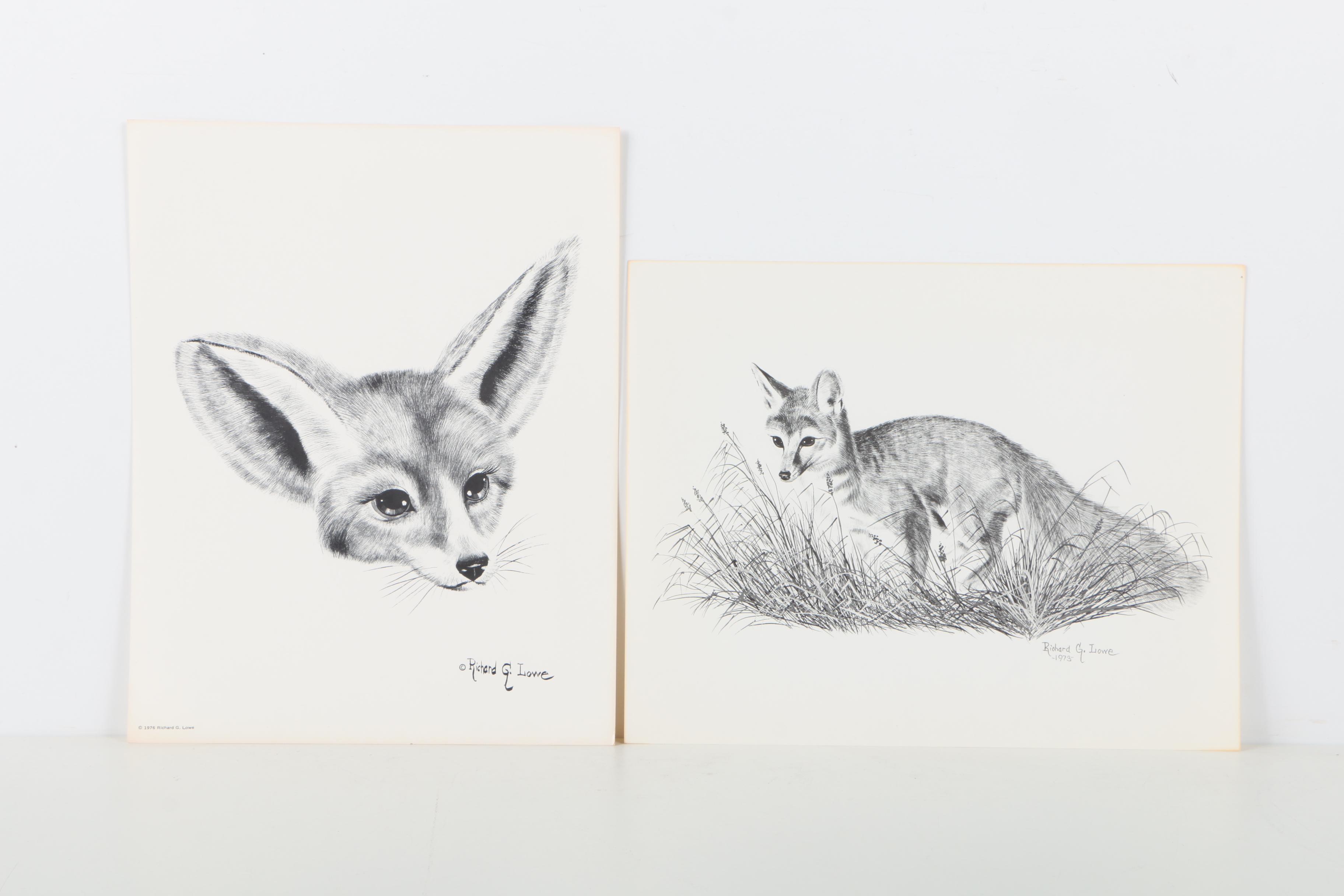 Offset Lithographs After Richard G Lowe's Drawings of Animals