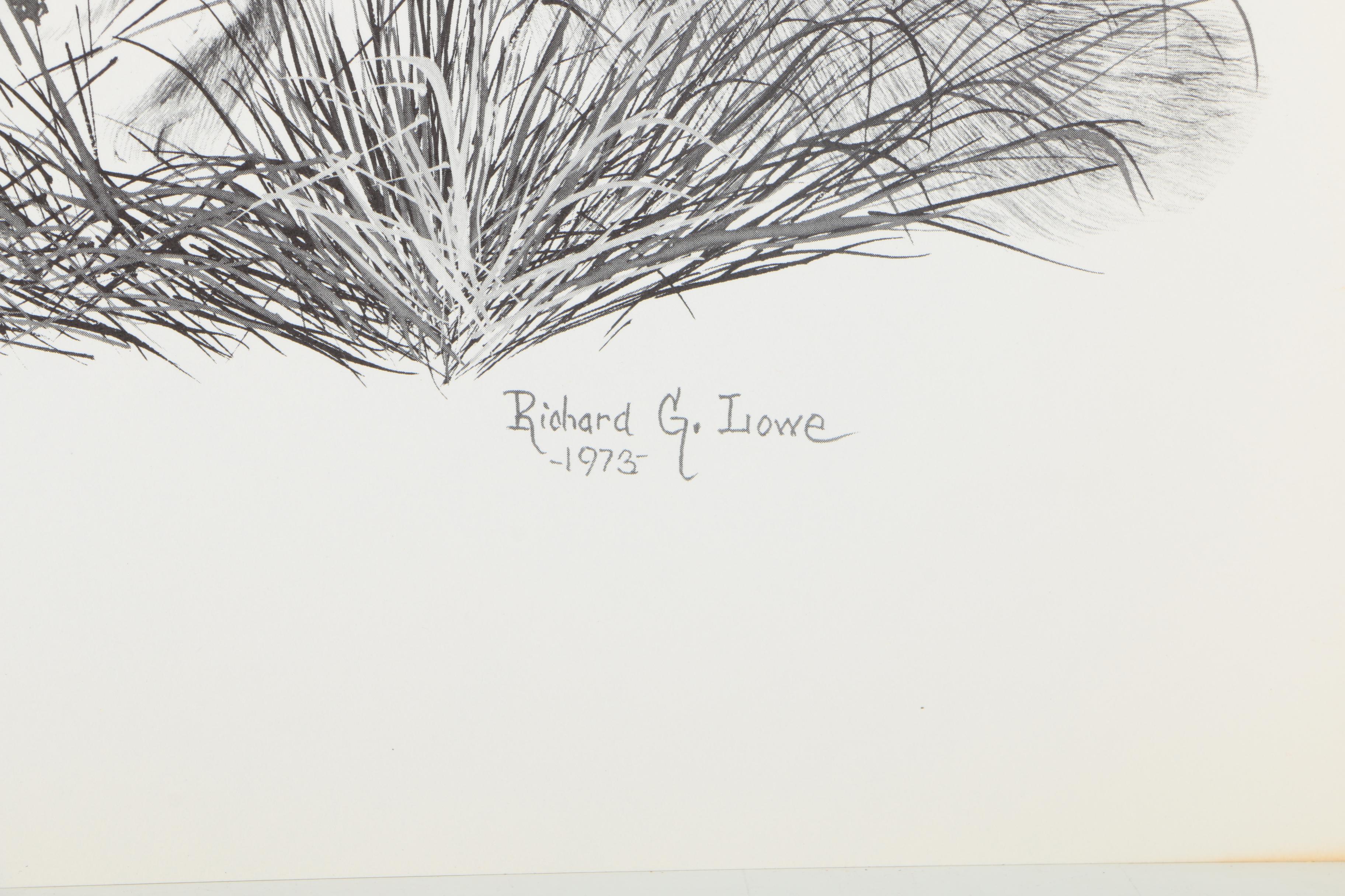 Offset Lithographs After Richard G Lowe's Drawings of Animals