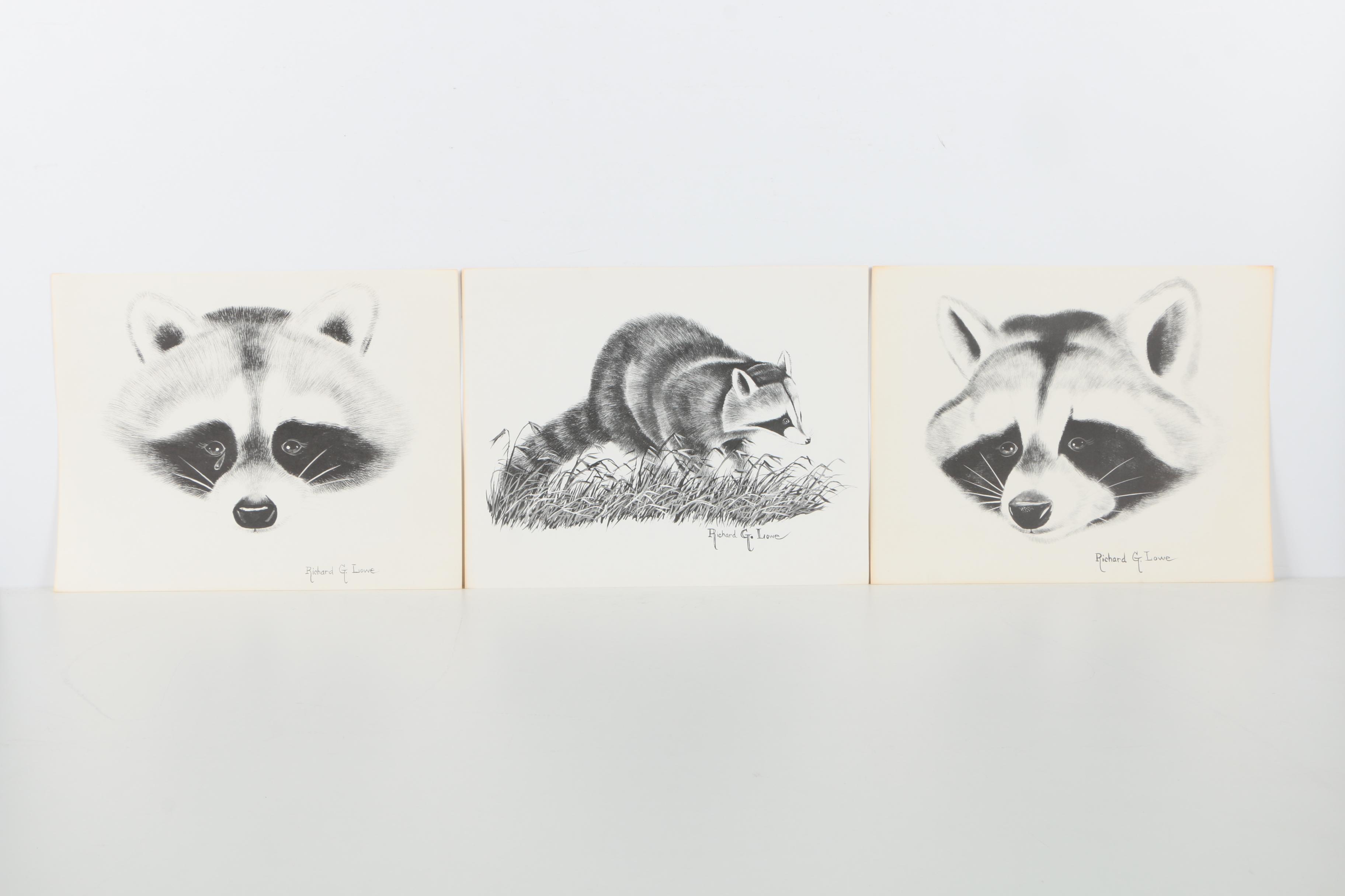 Offset Lithographs After Richard G Lowe's Drawings of Animals