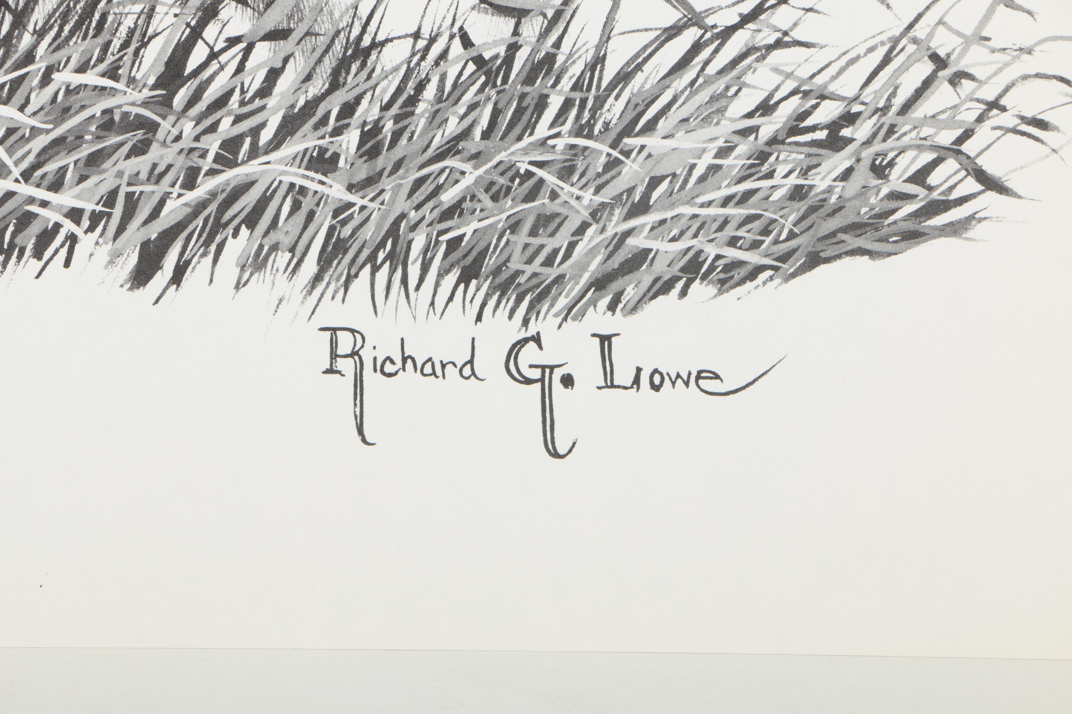 Offset Lithographs After Richard G Lowe's Drawings of Animals