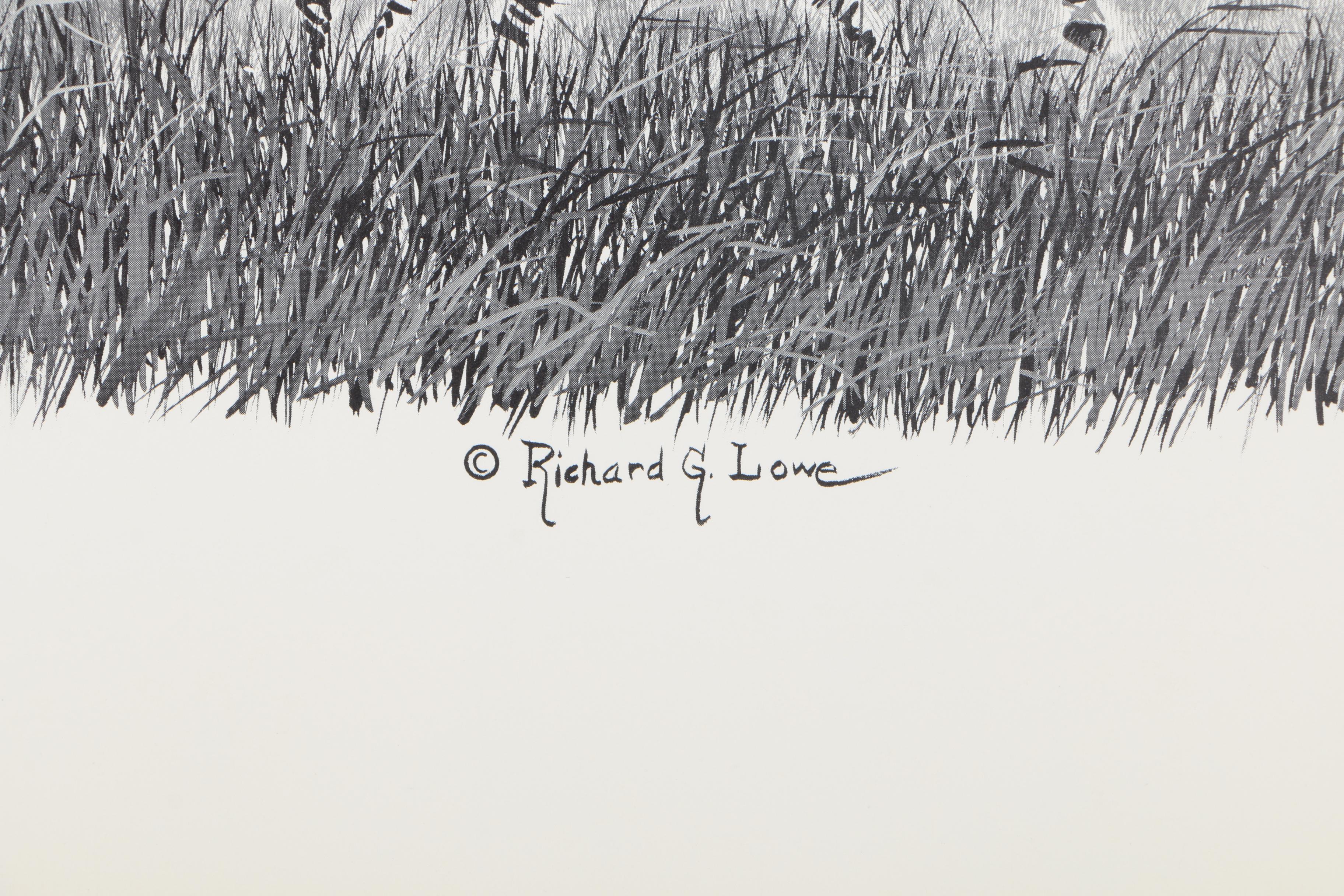 Offset Lithographs After Richard G Lowe's Drawings of Animals