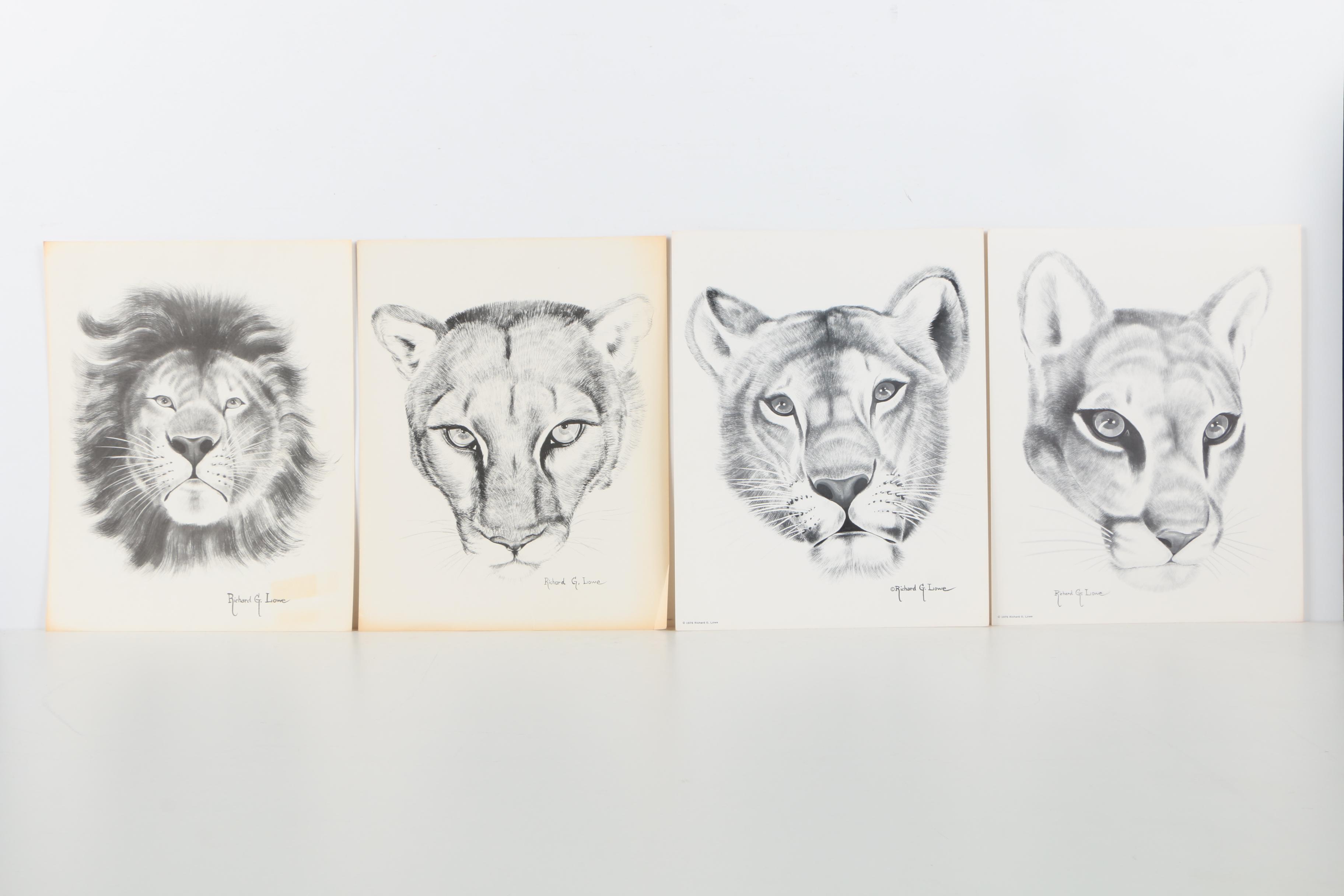 Offset Lithographs After Richard G Lowe's Drawings of Animals
