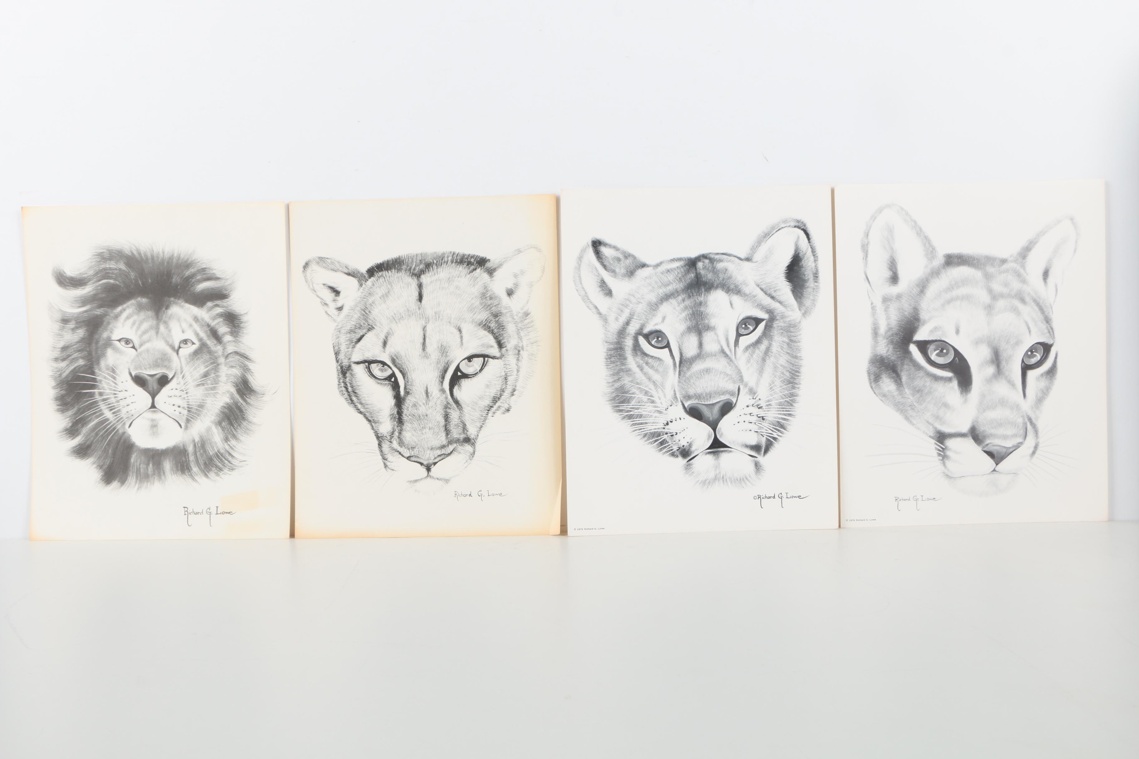 Offset Lithographs After Richard G Lowe's Drawings of Animals