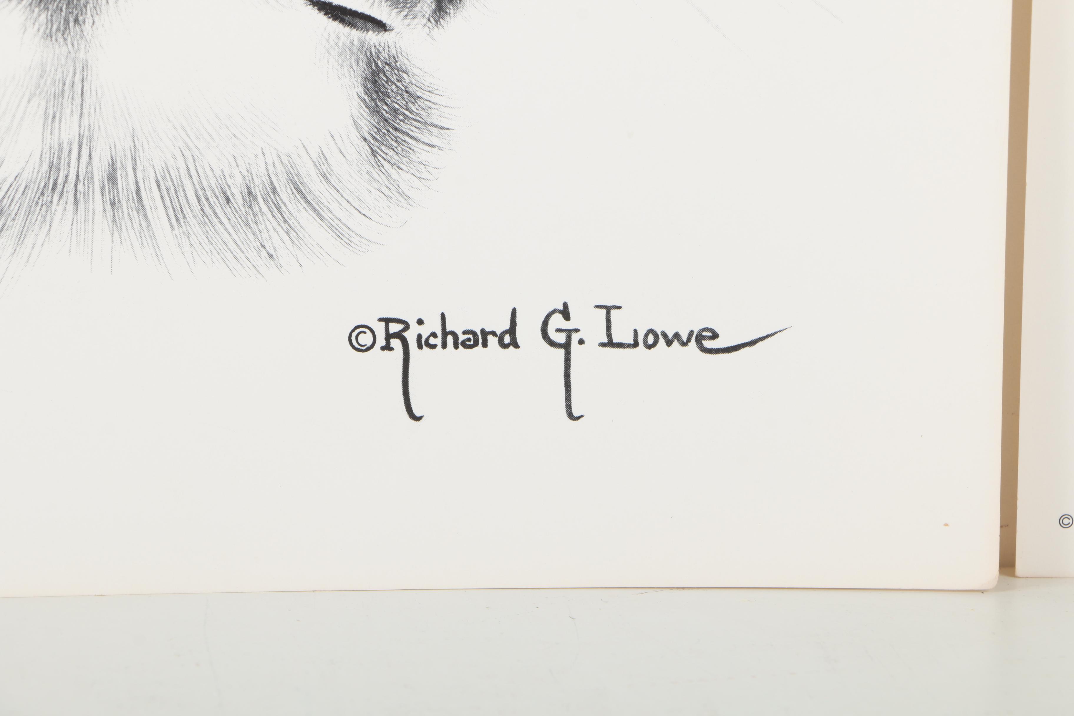 Offset Lithographs After Richard G Lowe's Drawings of Animals