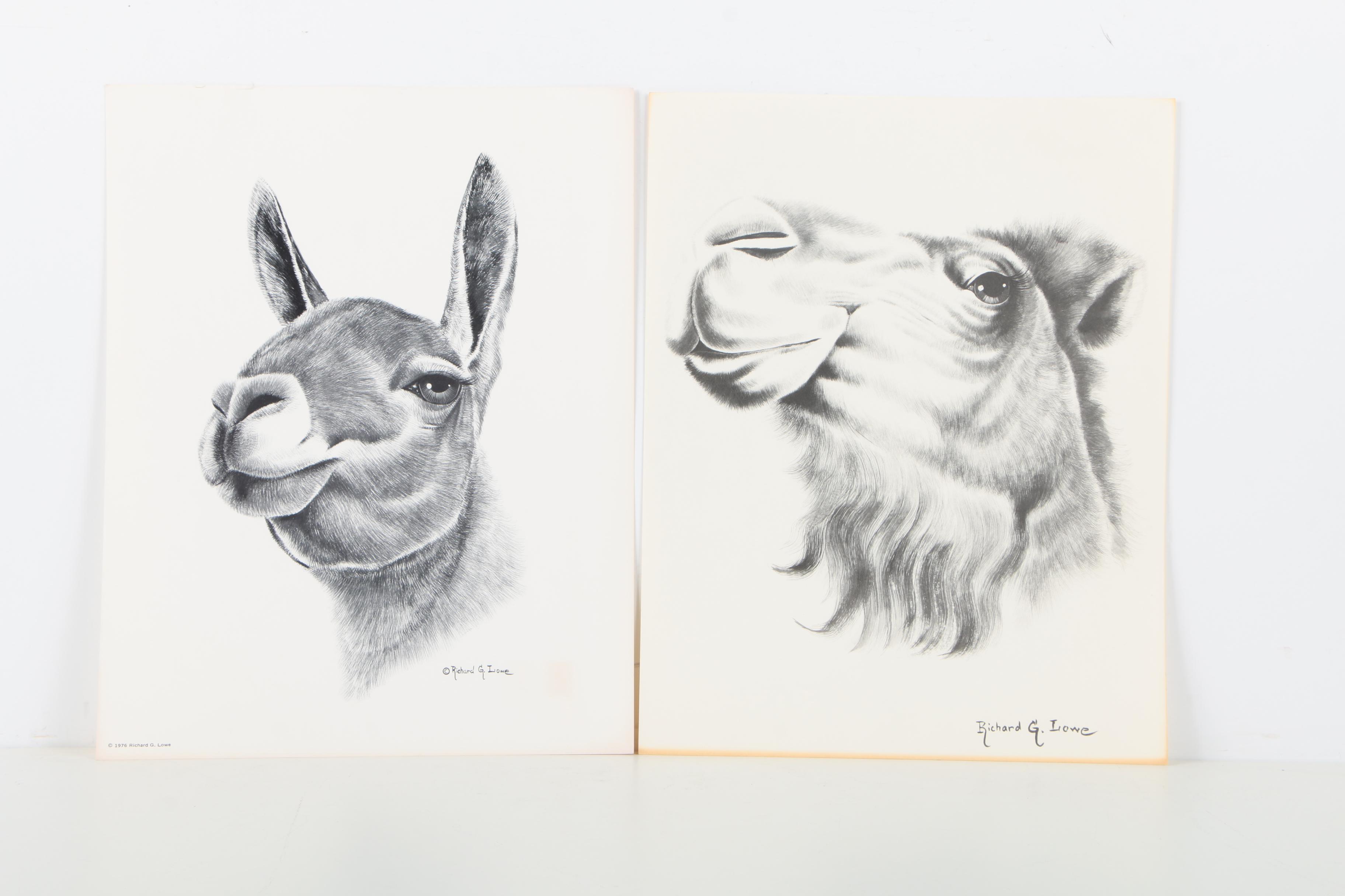 Offset Lithographs After Richard G Lowe's Drawings of Animals