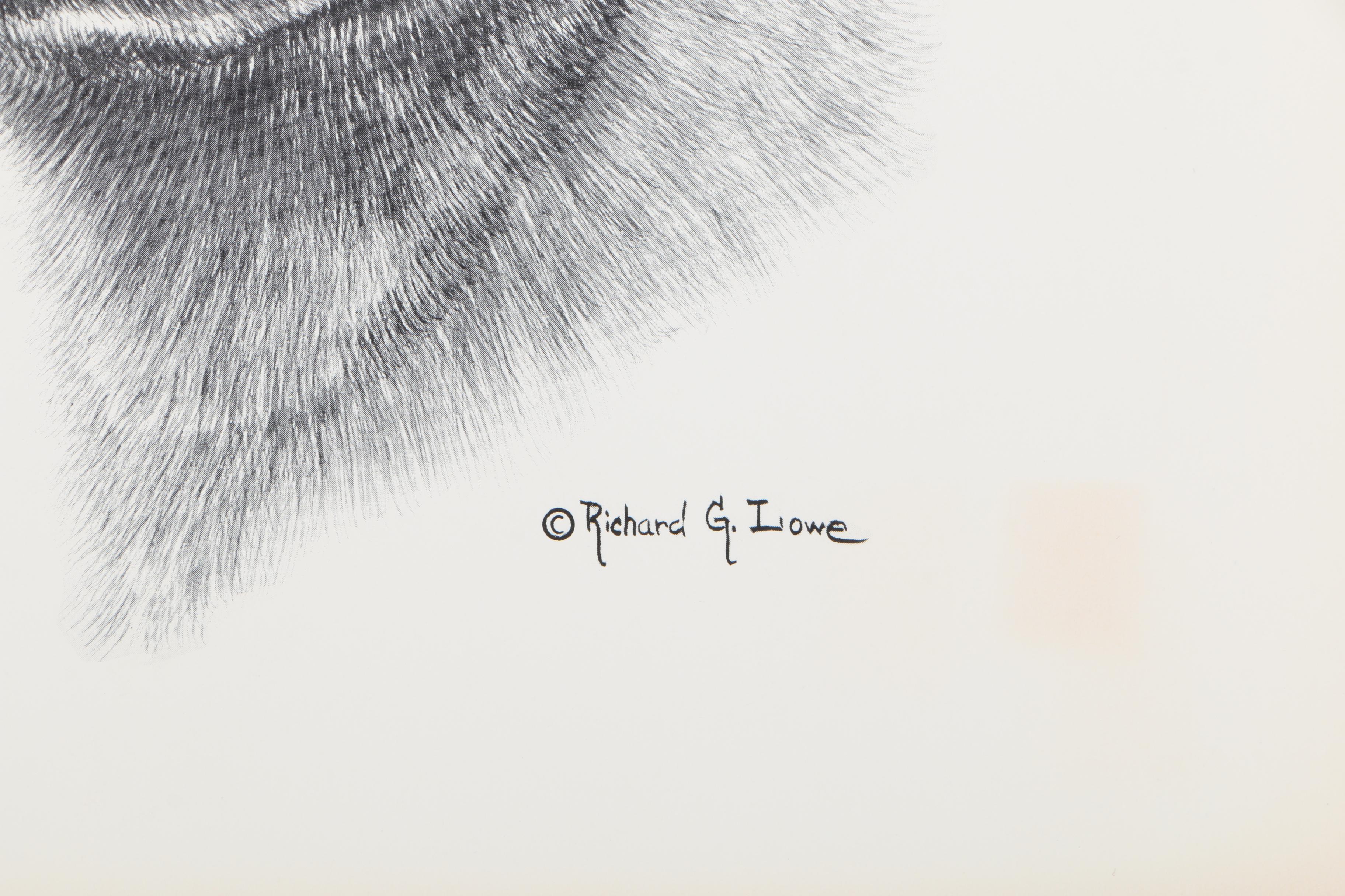 Offset Lithographs After Richard G Lowe's Drawings of Animals