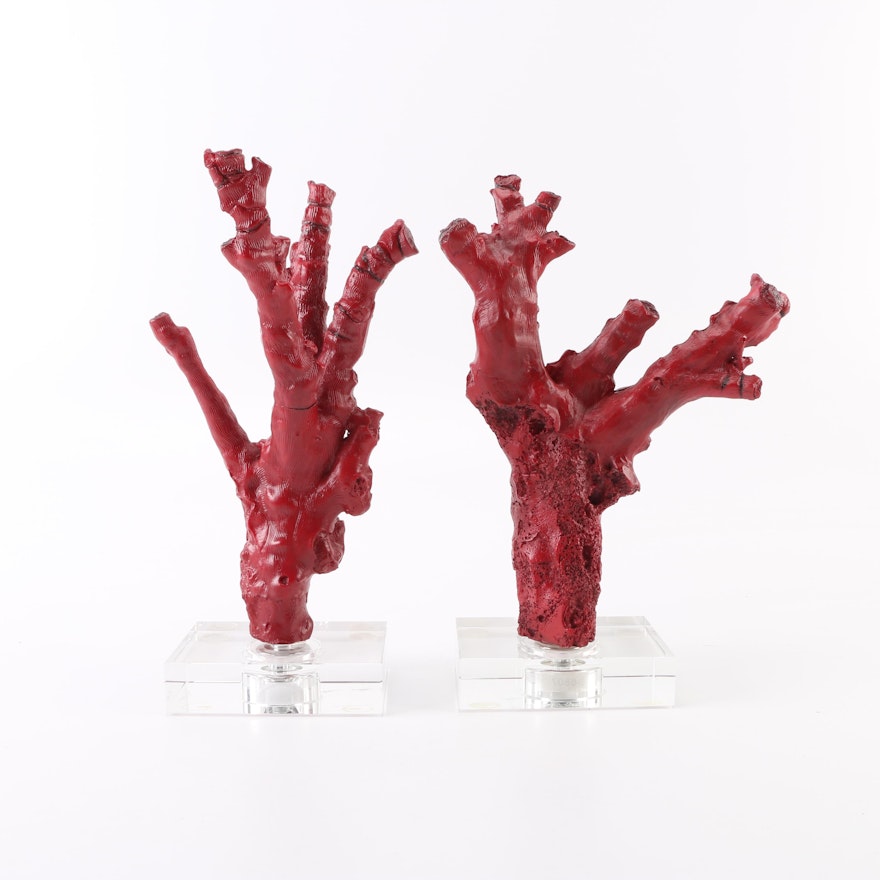 Plaster Sculptures of Coral