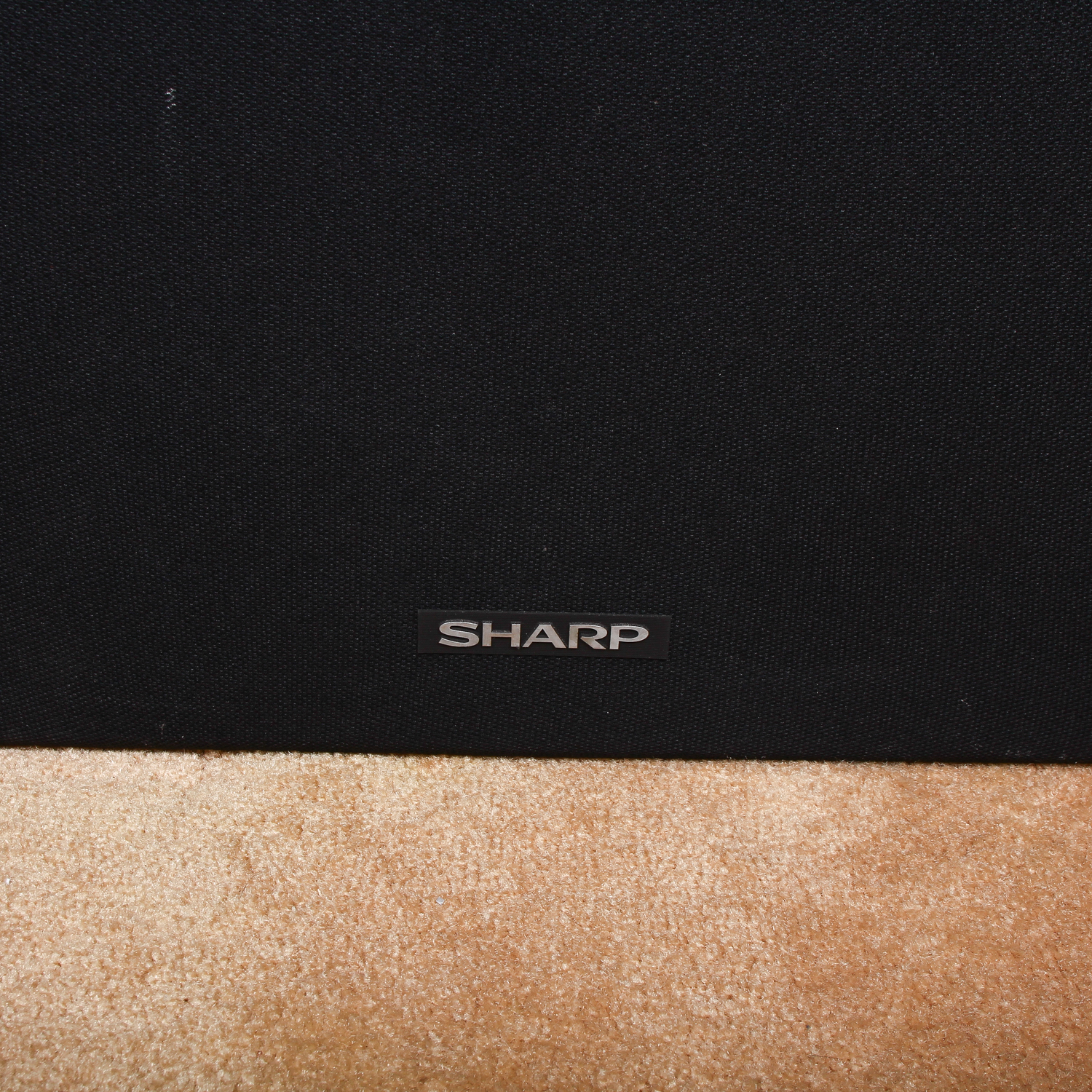 Two Sharp Stereo Speakers