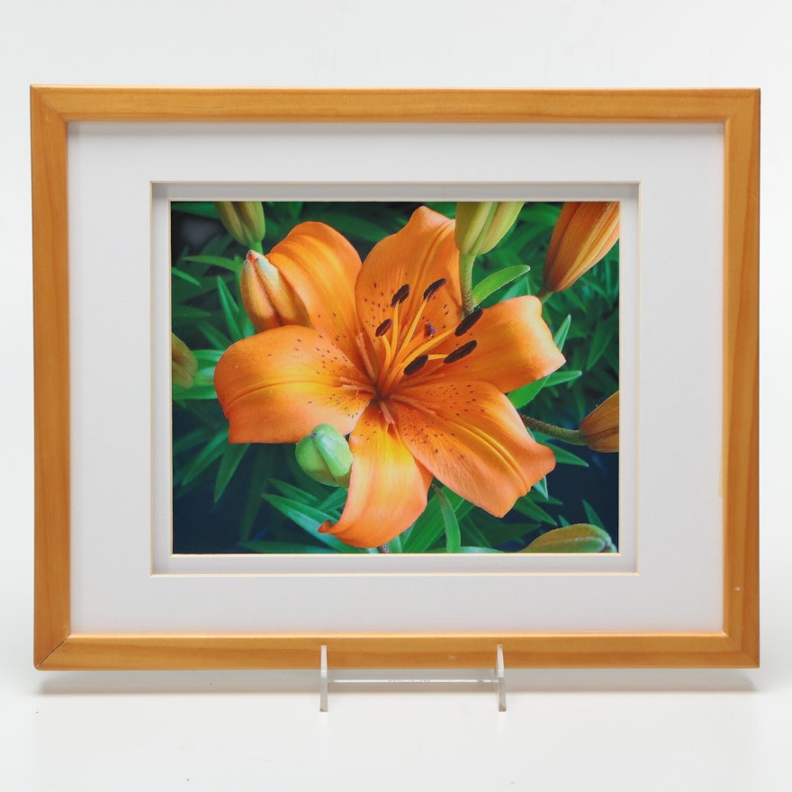 C. Jerry Abraham Giclee Print on Paper of a Lily