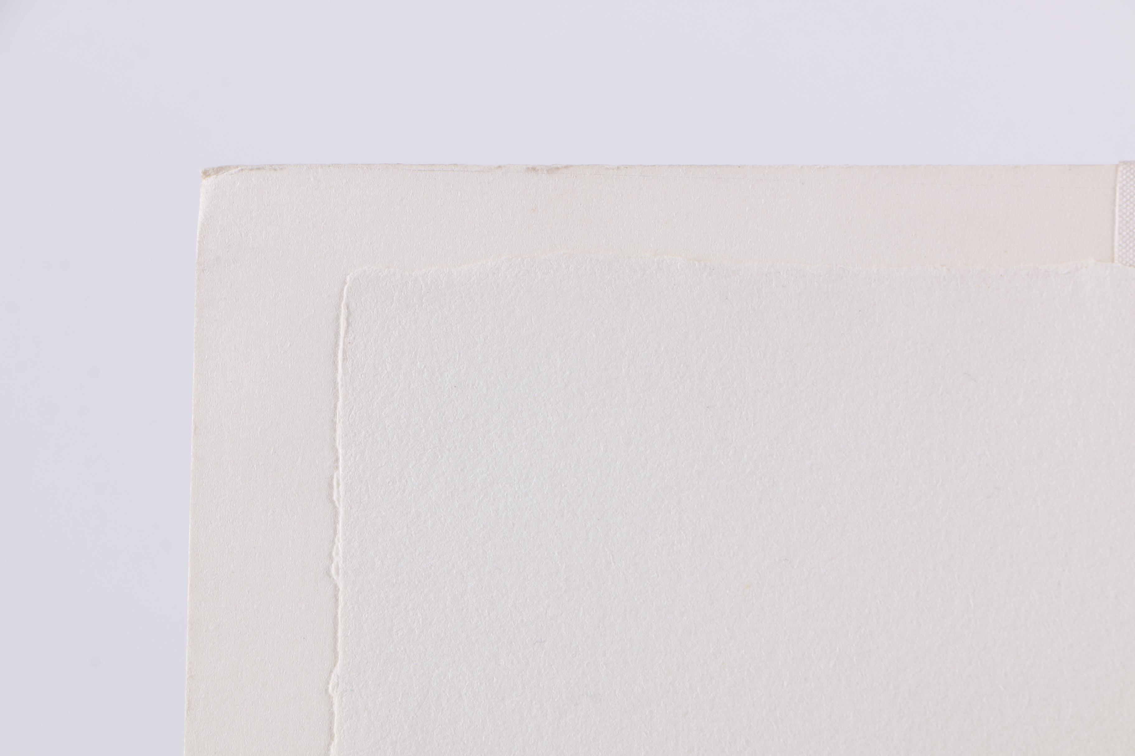 Limited Edition Etching on Paper After Francisco de Goya's "Volaverunt" From the "Los Caprichos" Series