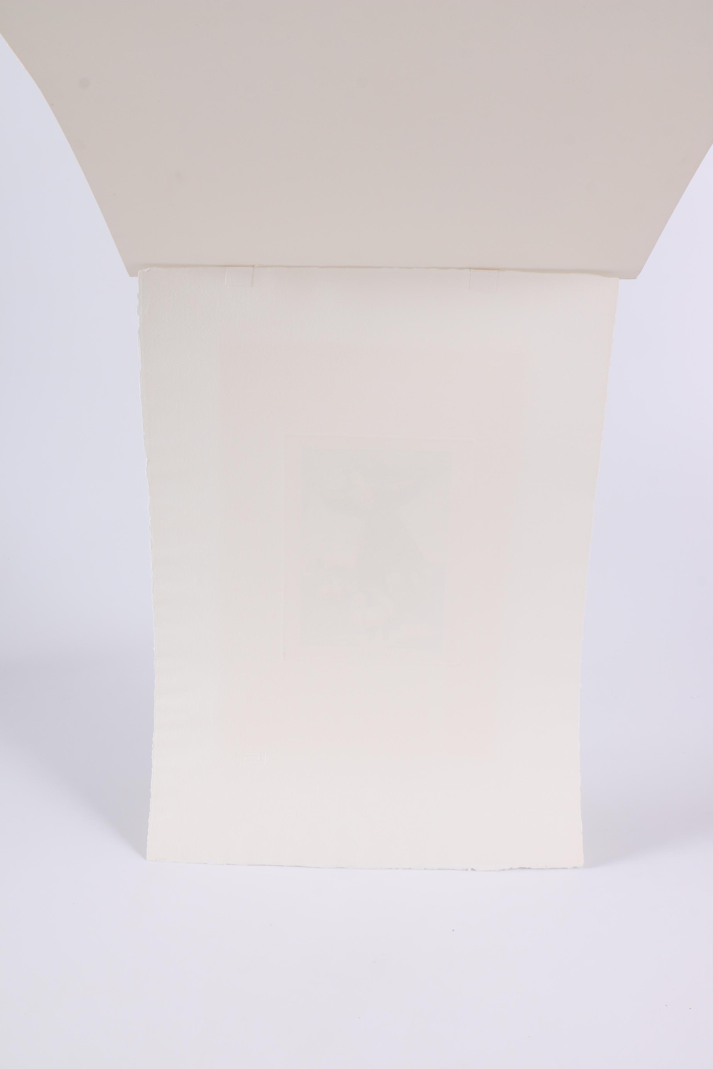 Limited Edition Etching on Paper After Francisco de Goya's "Volaverunt" From the "Los Caprichos" Series