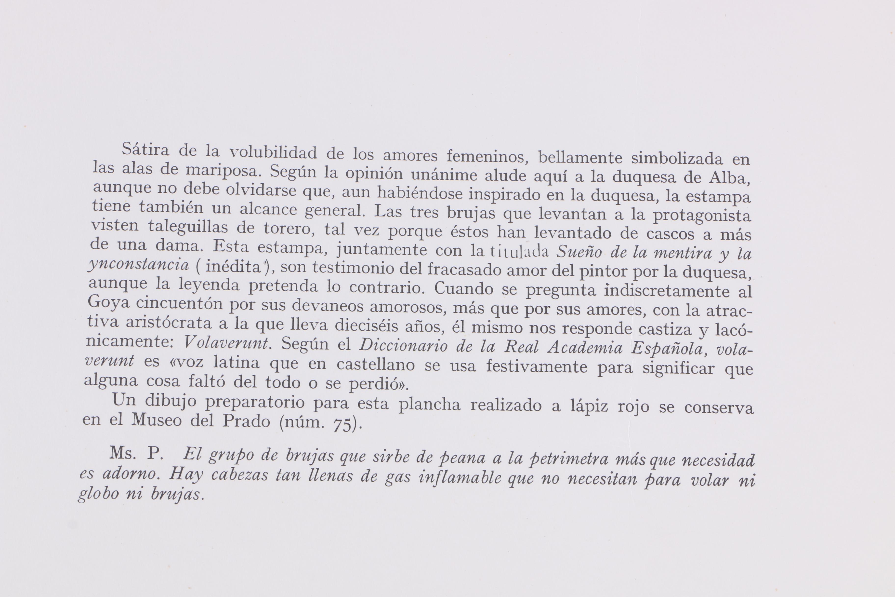 Limited Edition Etching on Paper After Francisco de Goya's "Volaverunt" From the "Los Caprichos" Series